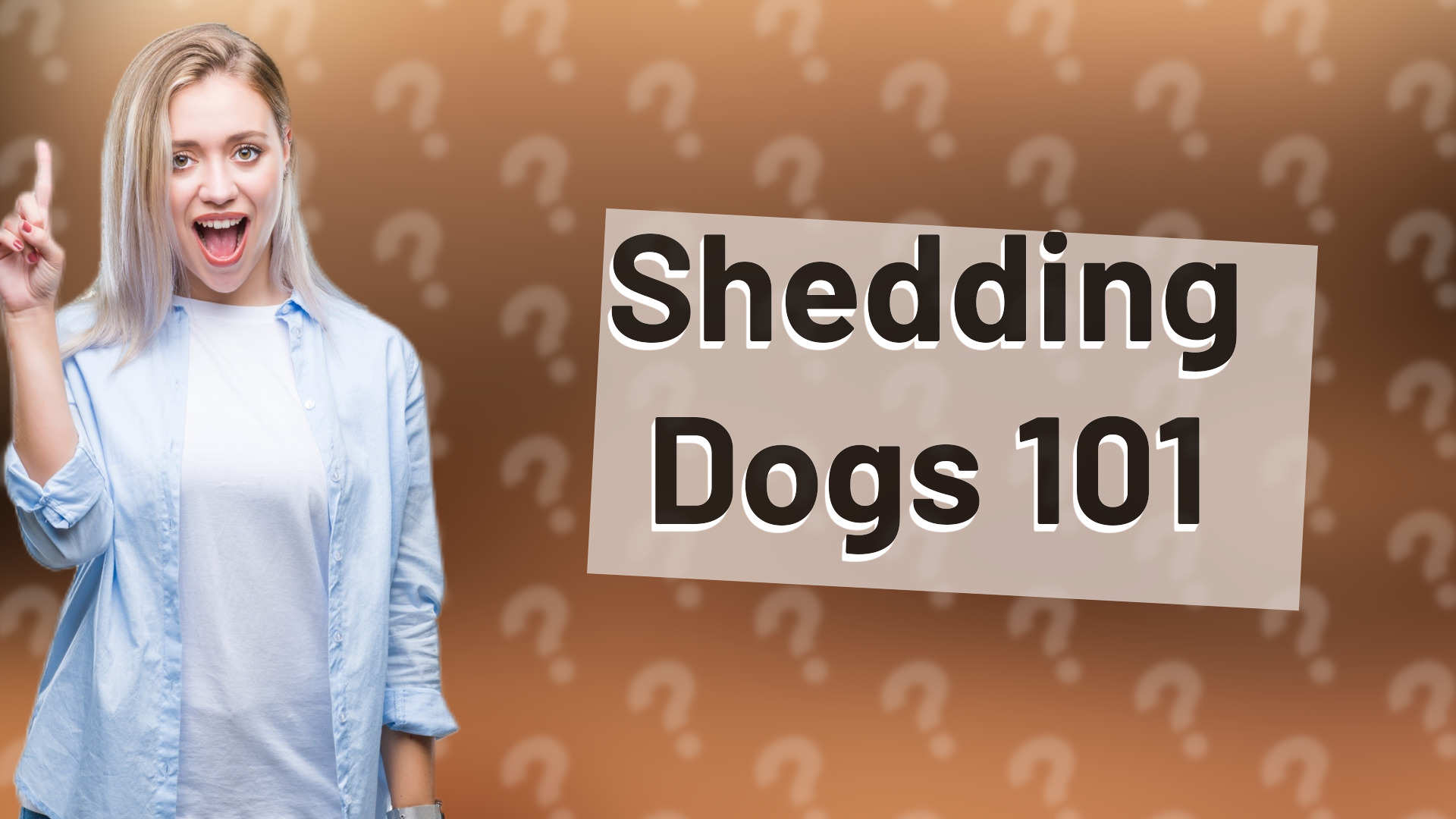 Shedding Dogs 101