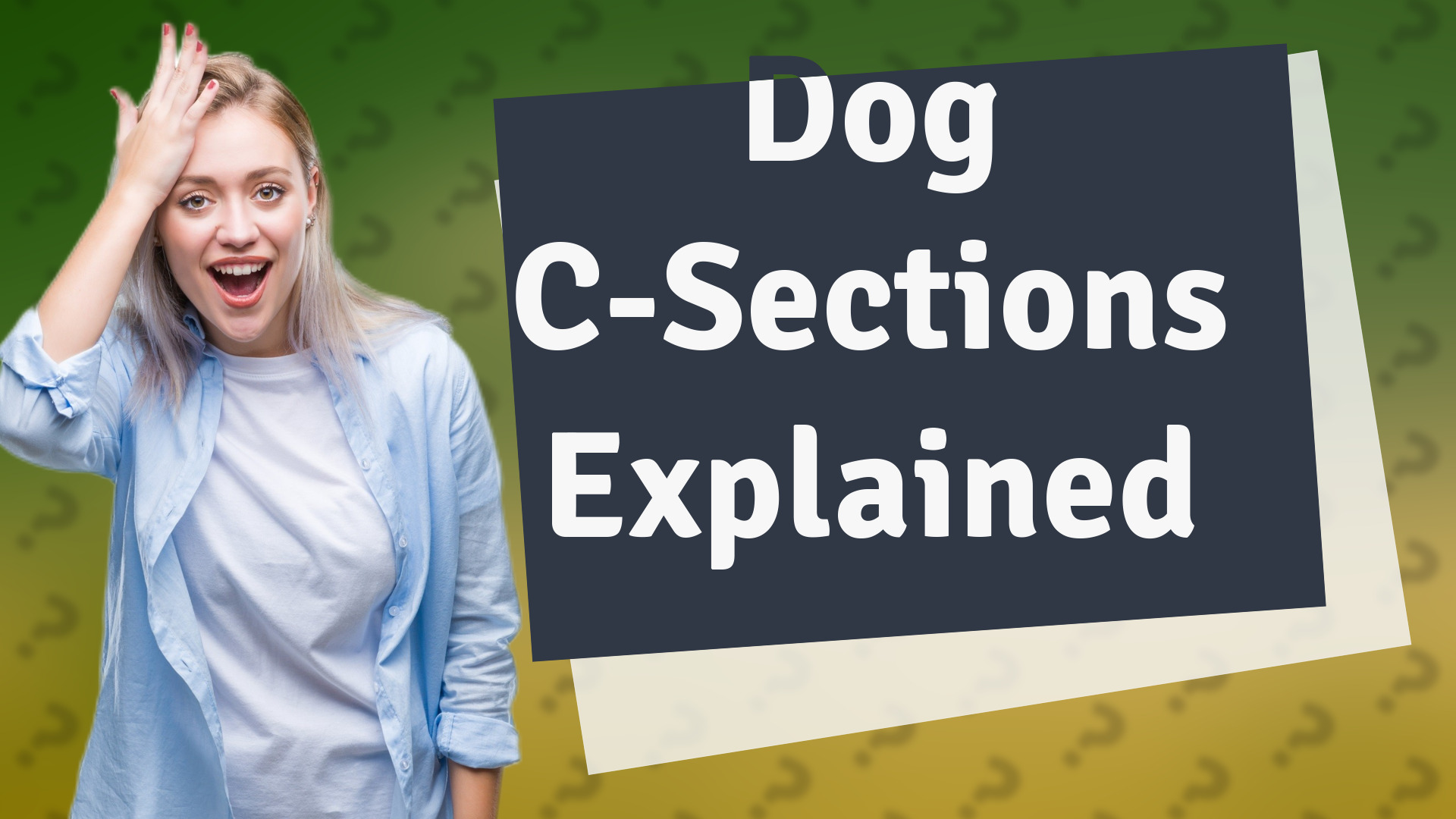 Dog C-Sections Explained