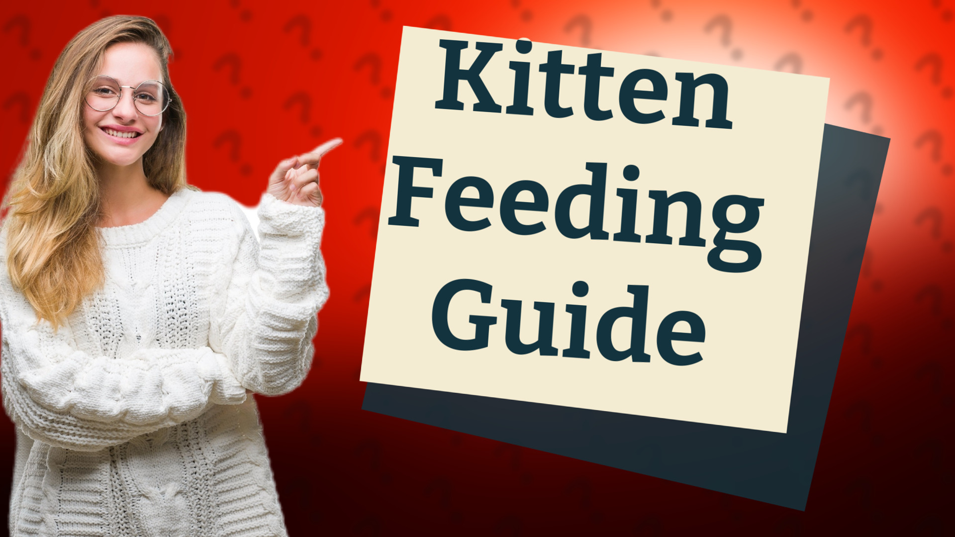 Kitten Feeding Guide