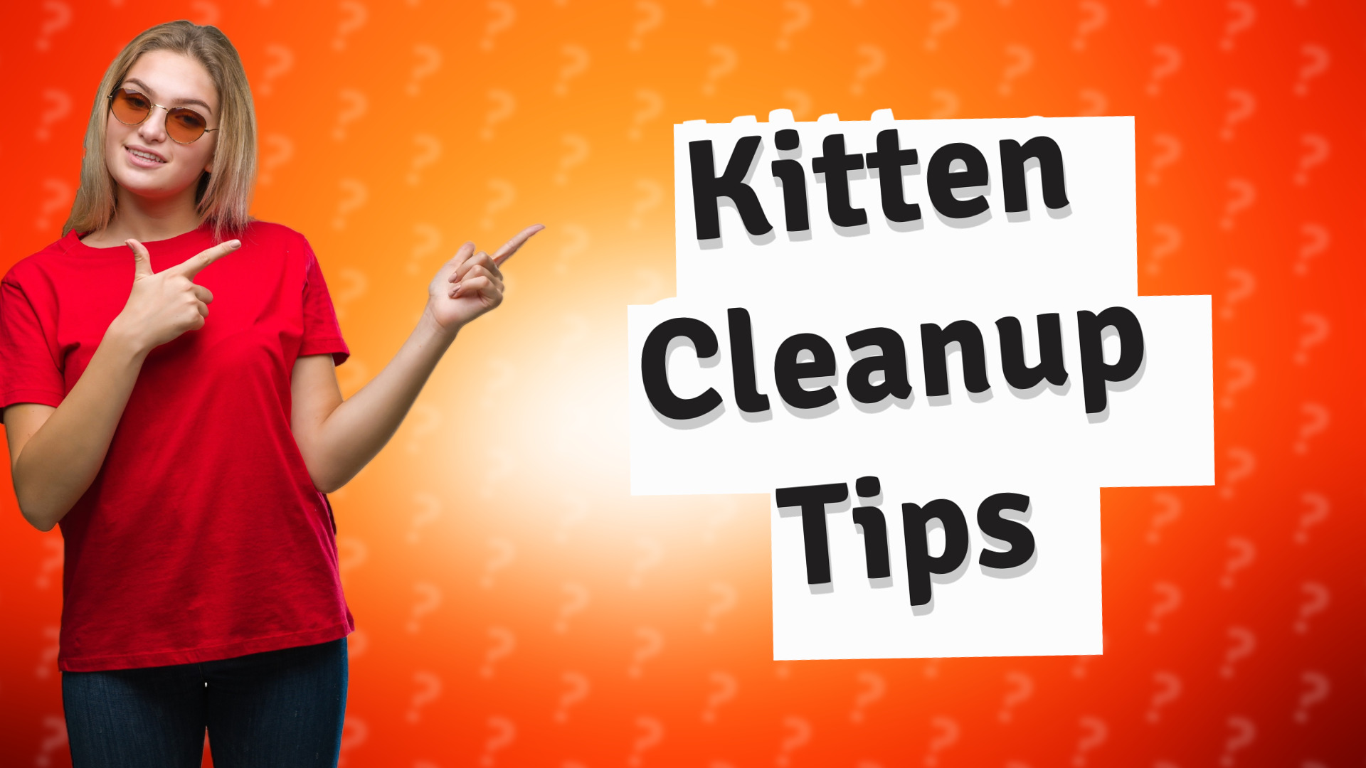 Kitten Cleanup Tips