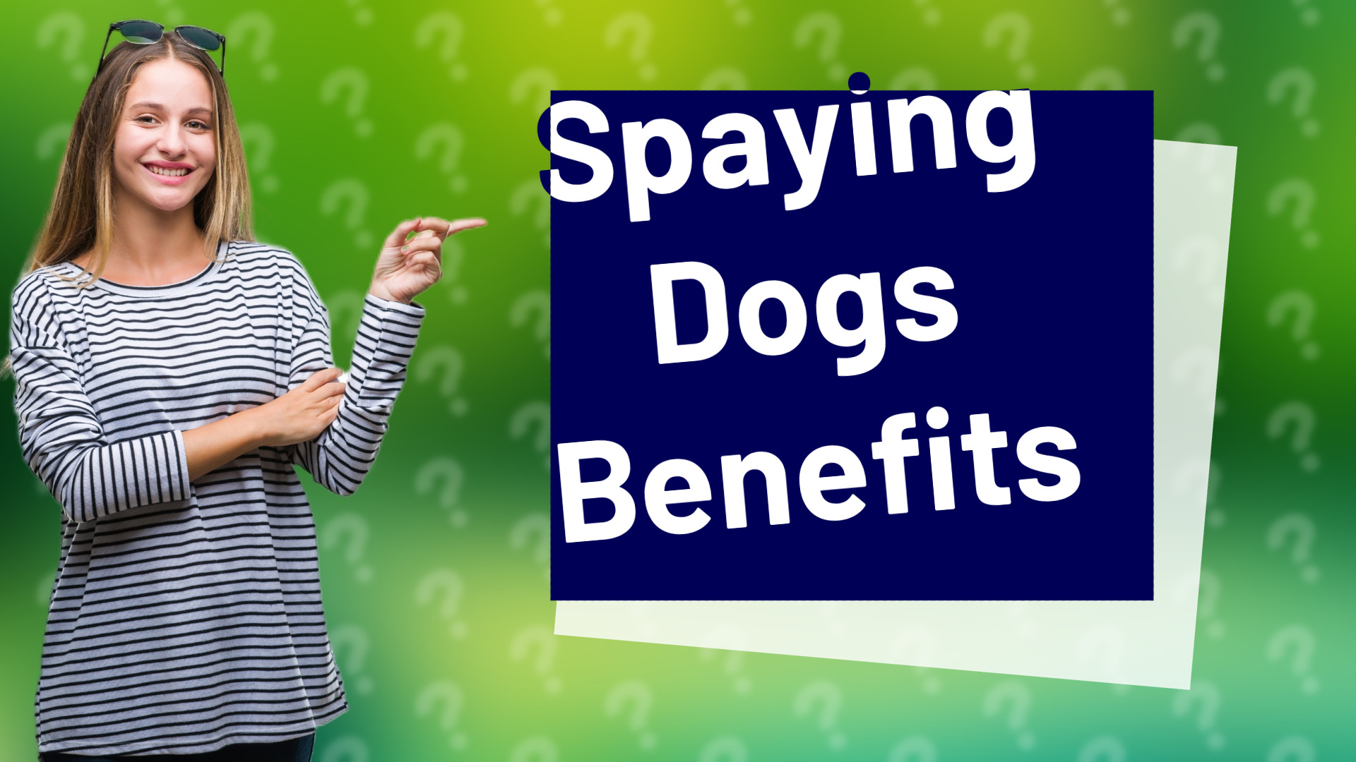 Spaying Dogs  Benefits