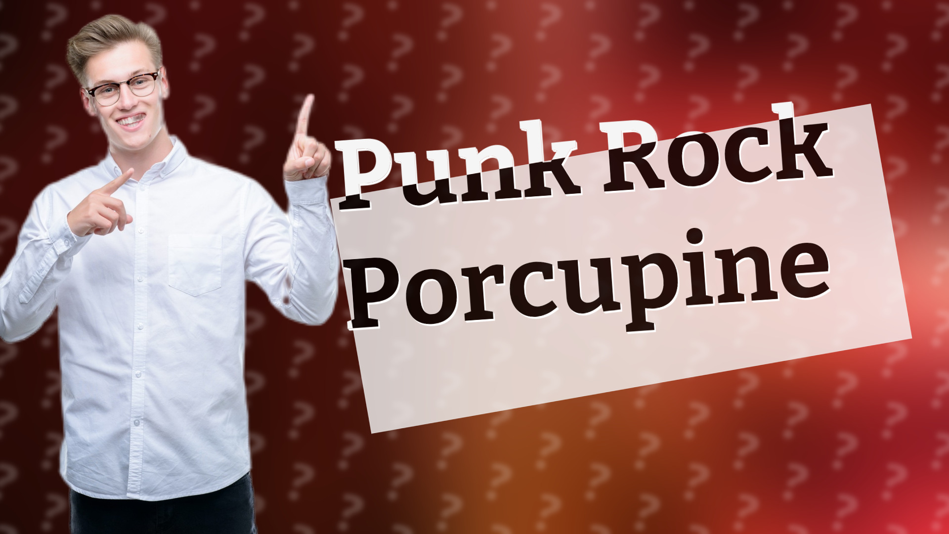 Punk Rock Porcupine