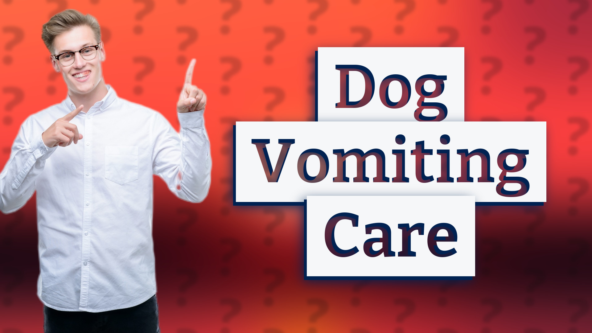 Dog Vomiting Care