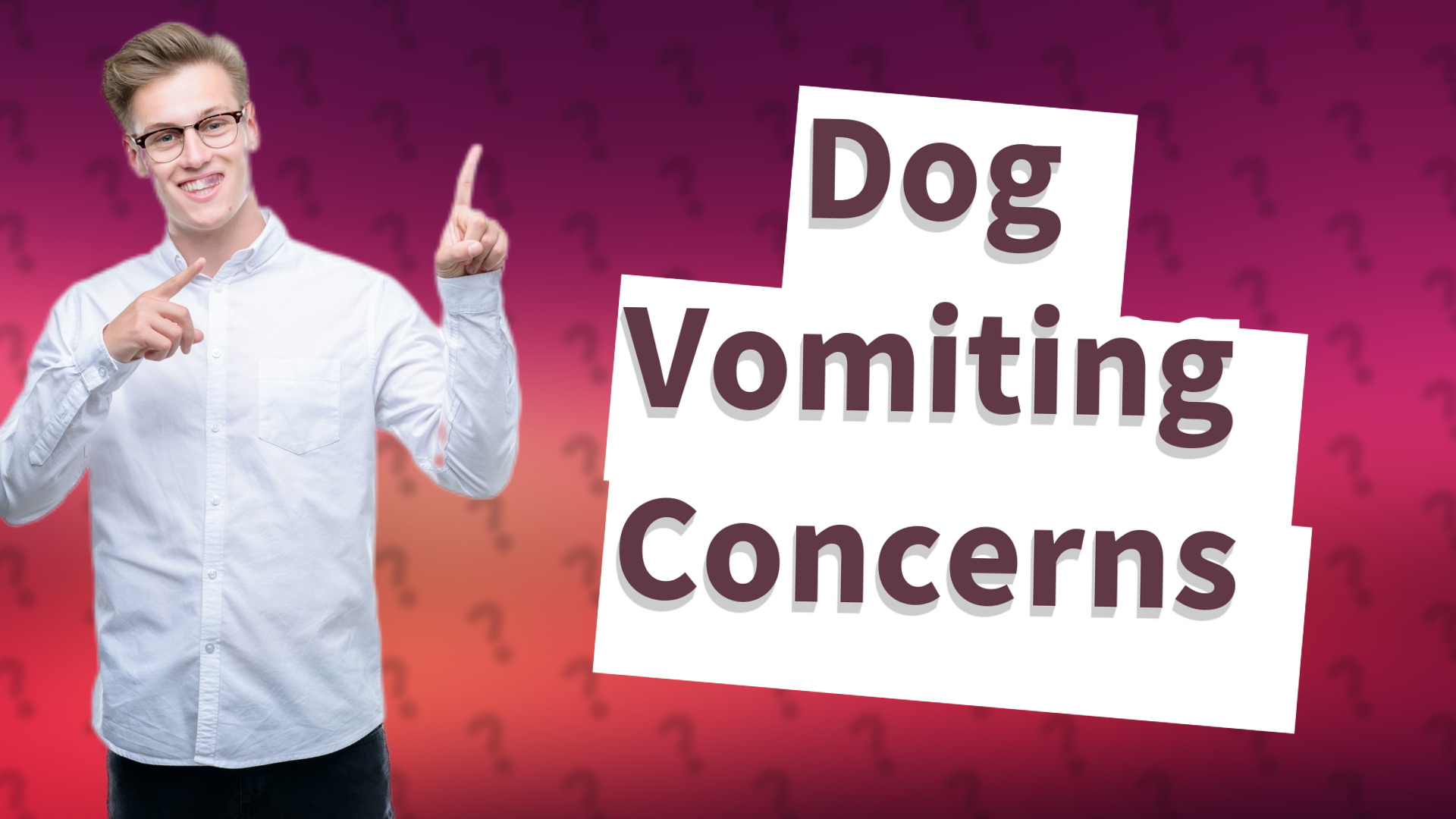Dog Vomiting Concerns