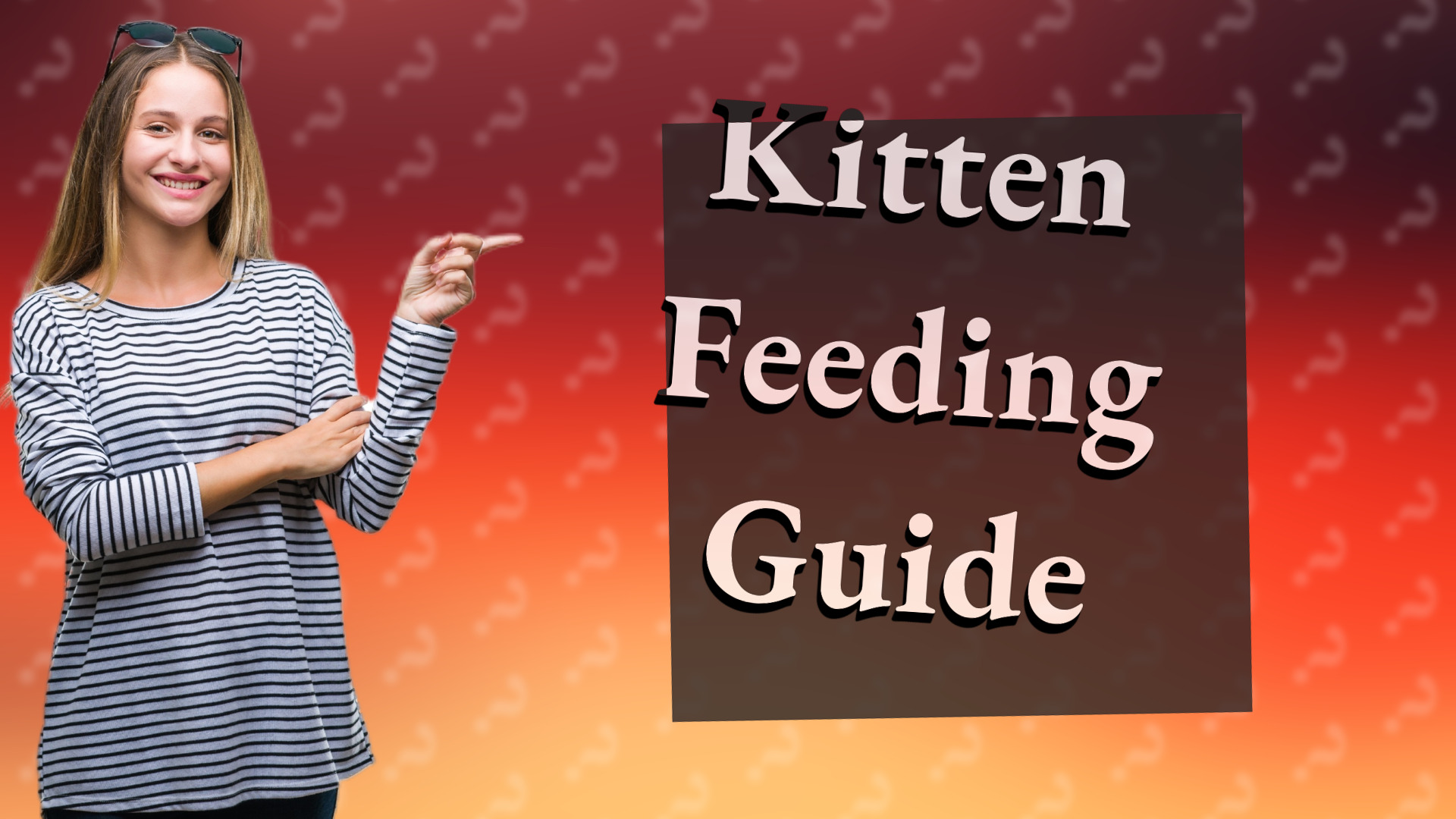 Kitten Feeding Guide