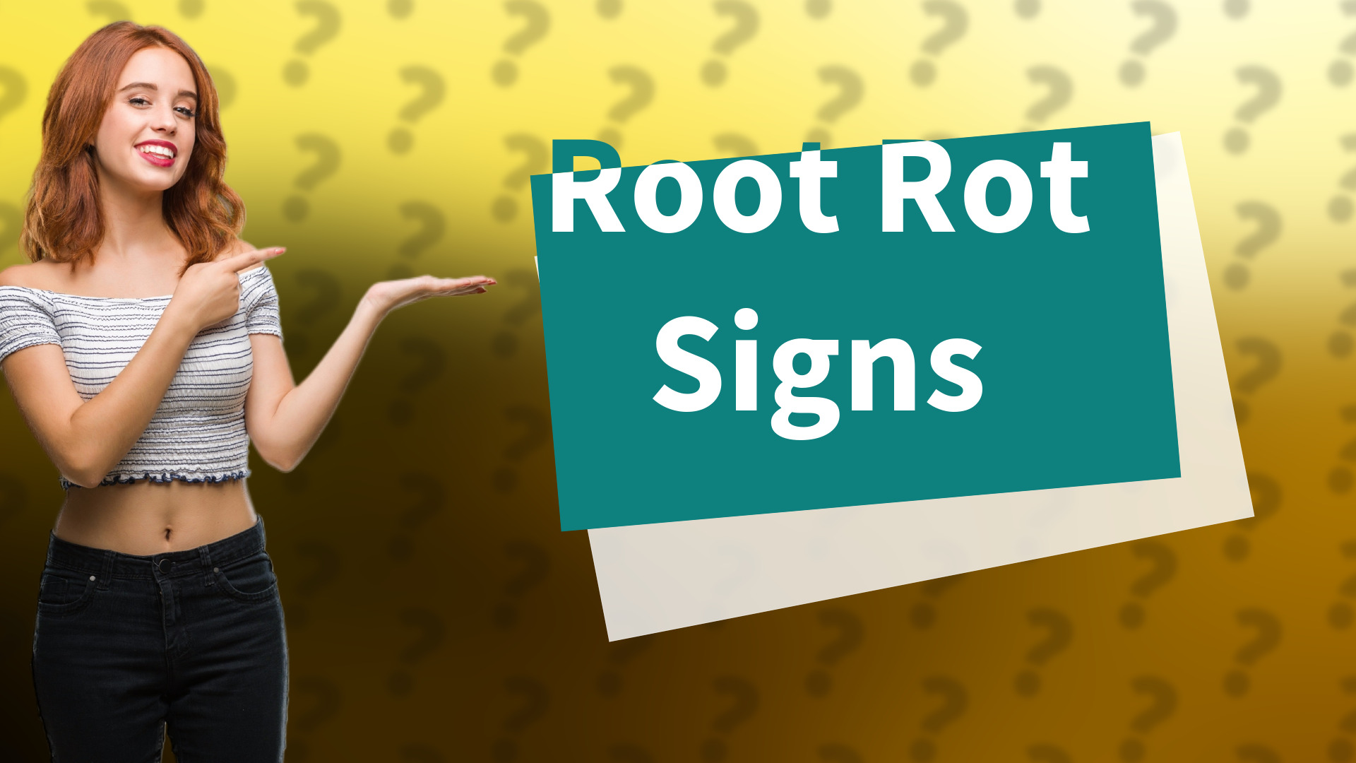 Root Rot Signs