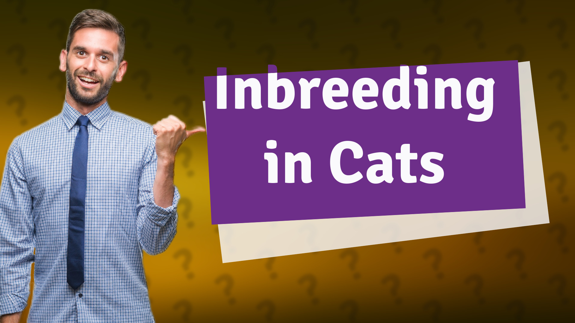 Inbreeding in Cats