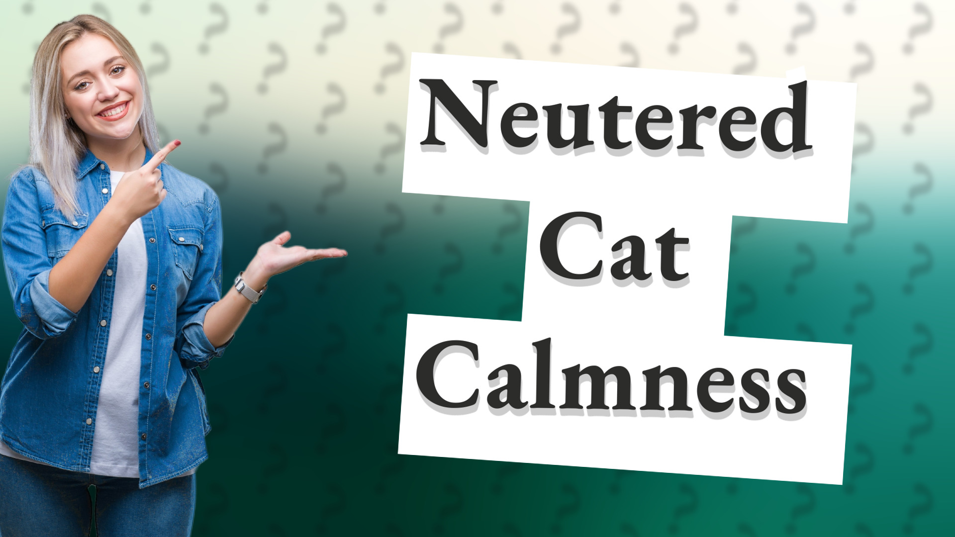 Neutered Cat Calmness