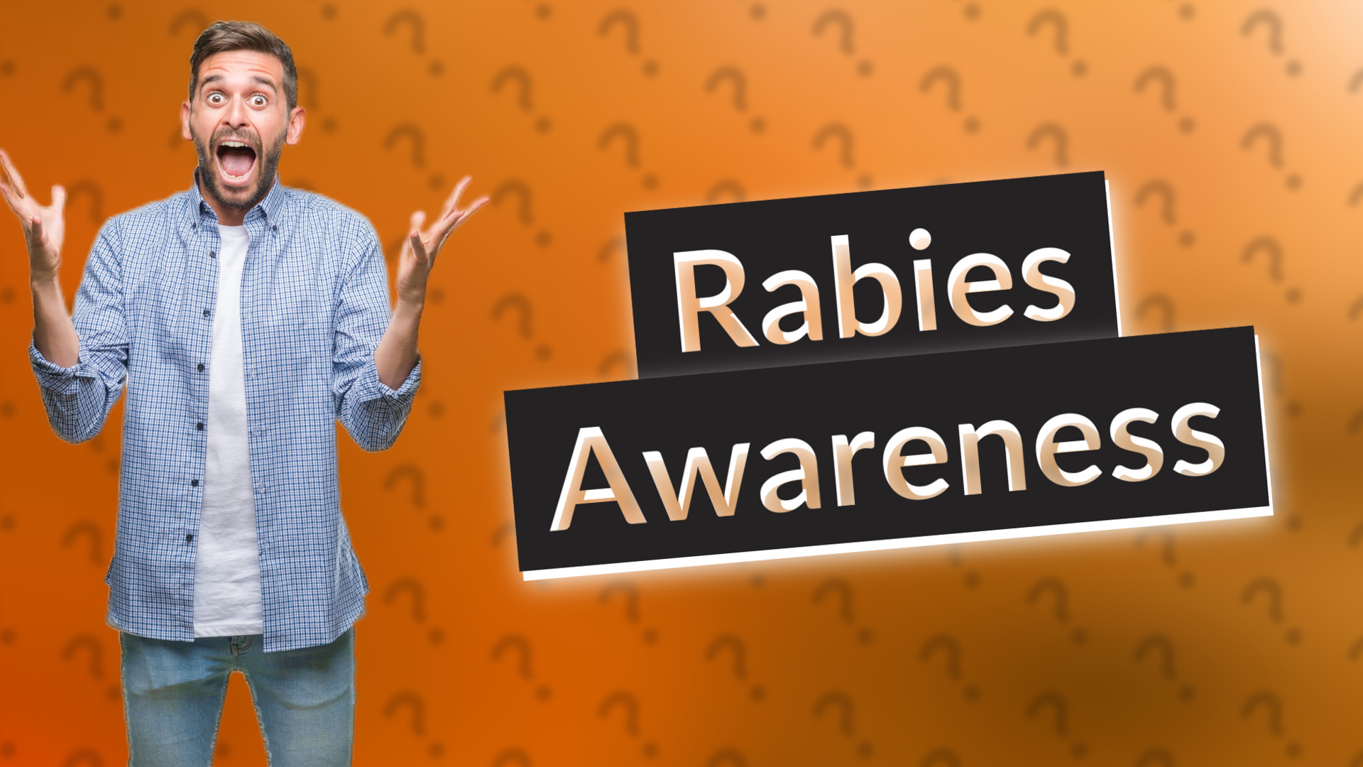 Rabies Awareness