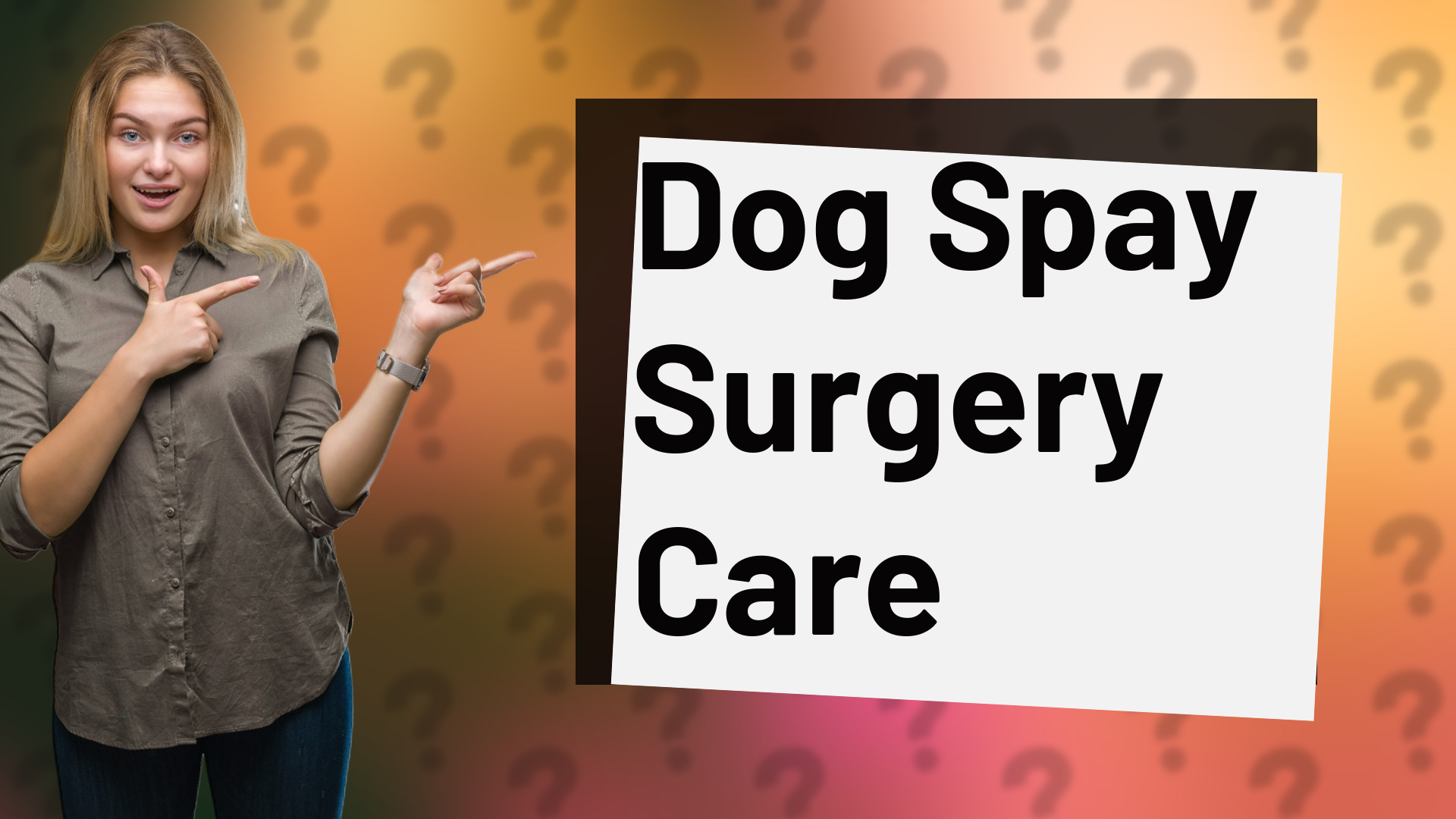Dog Spay Surgery Care