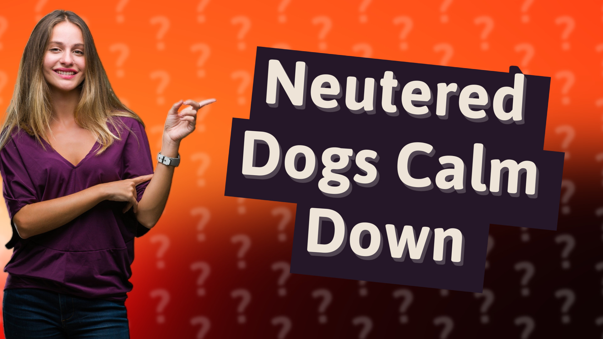 Neutered Dogs Calm Down