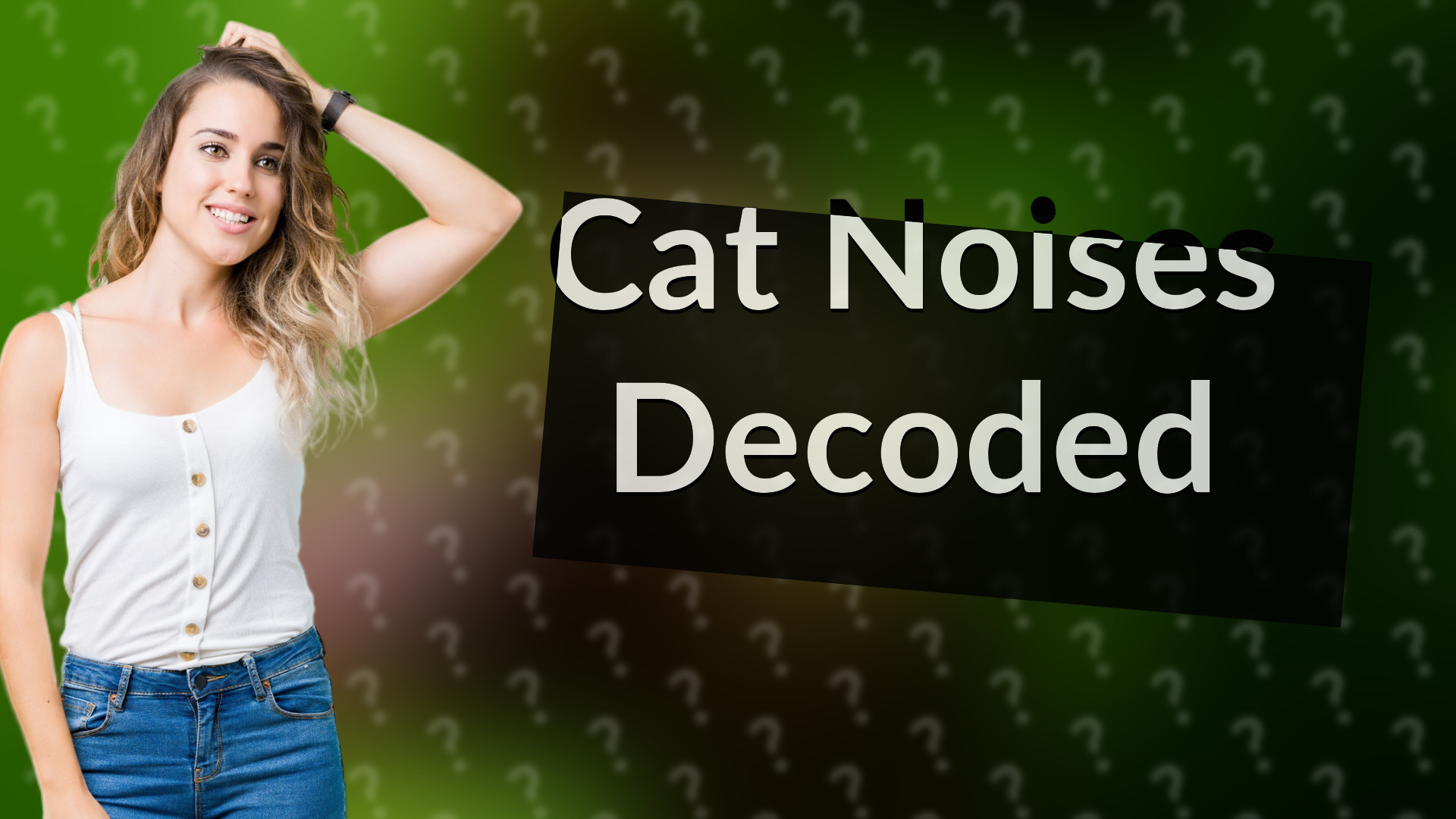Cat Noises Decoded