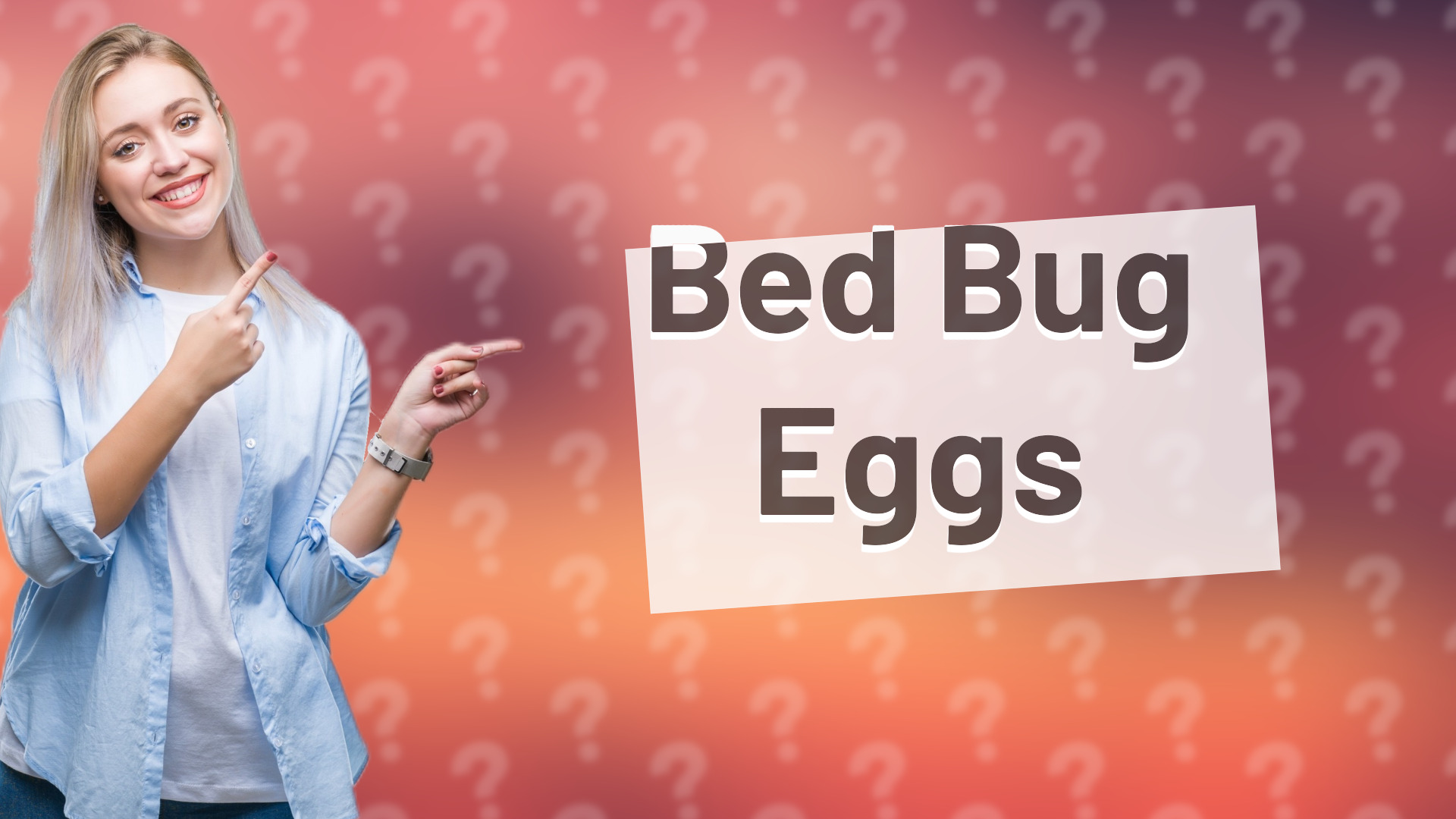 Bed Bug Eggs