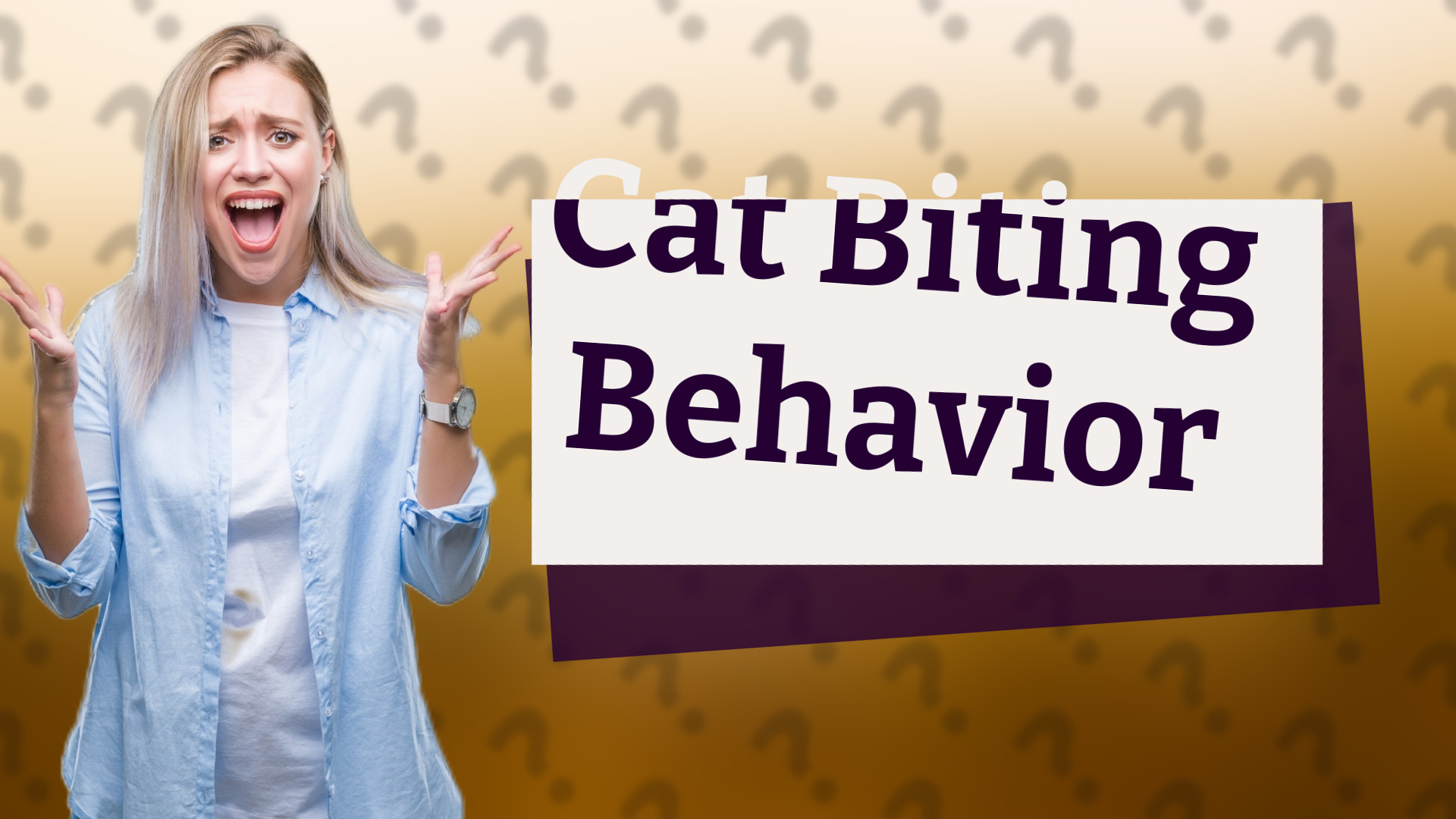 Cat Biting Behavior
