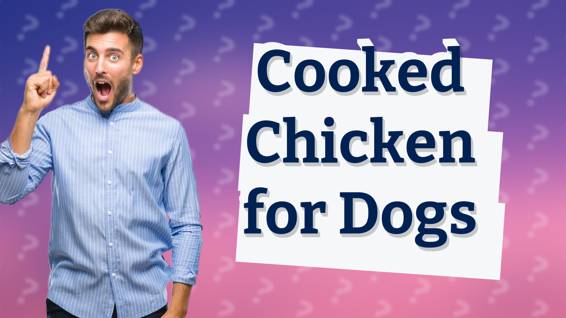 Cooked Chicken for Dogs