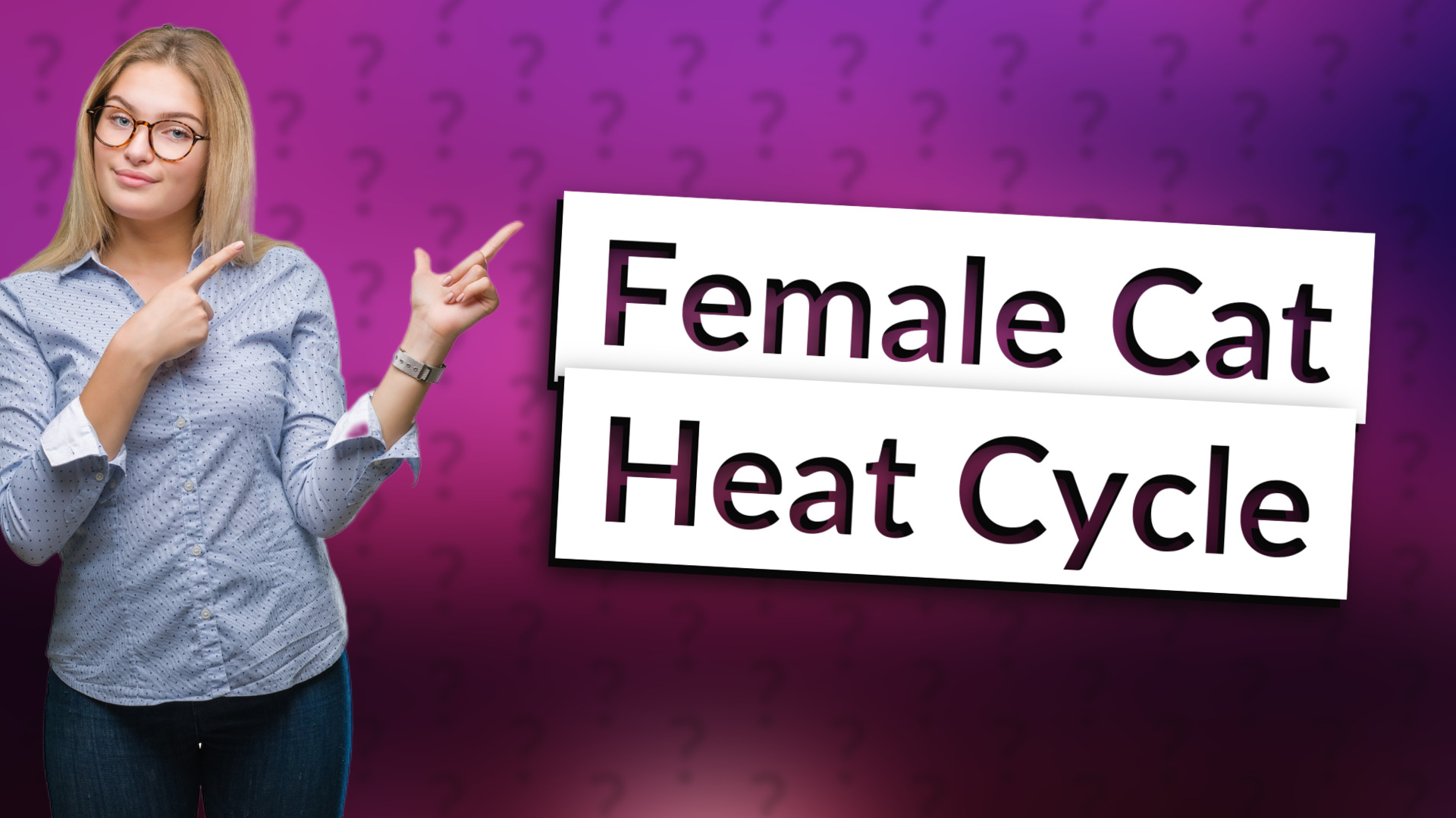 Female Cat Heat Cycle