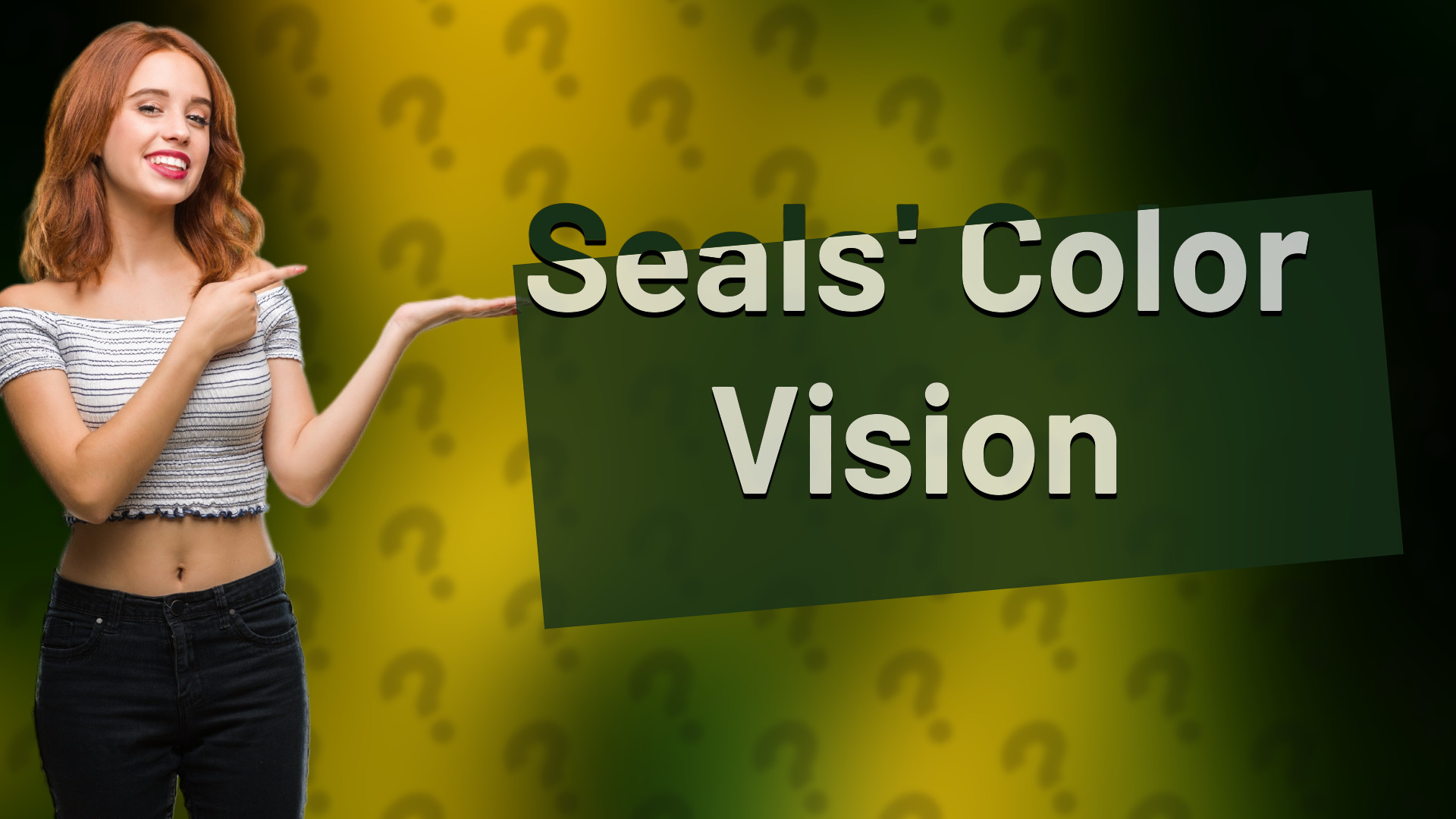 Seals' Color Vision