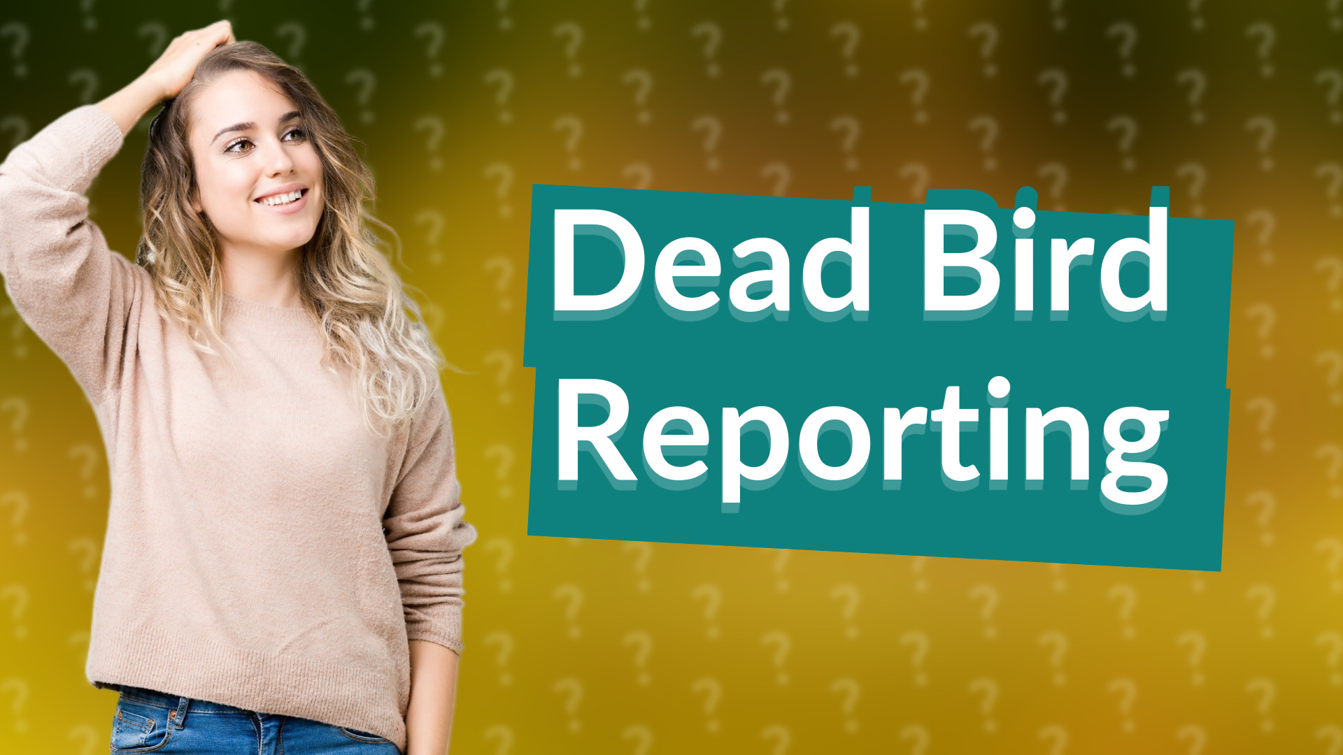 Dead Bird Reporting