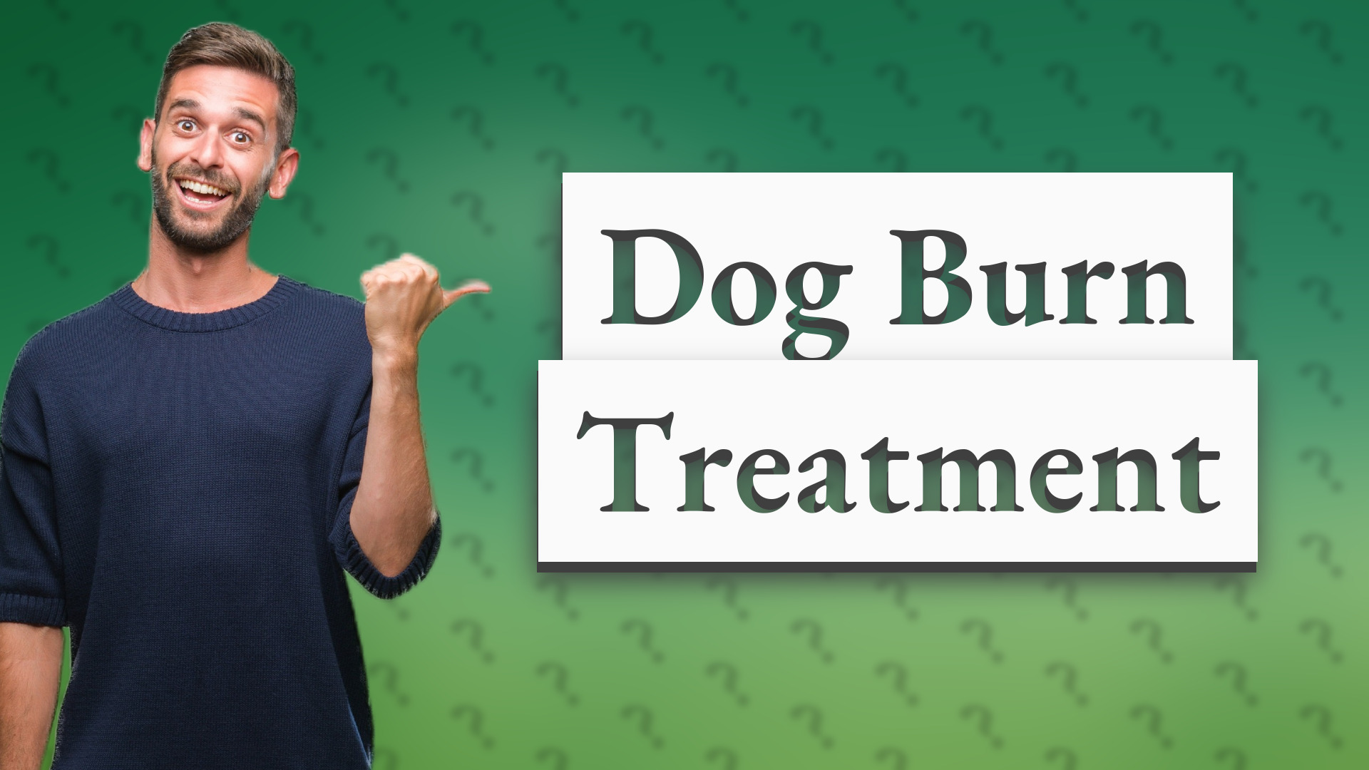 Dog Burn Treatment