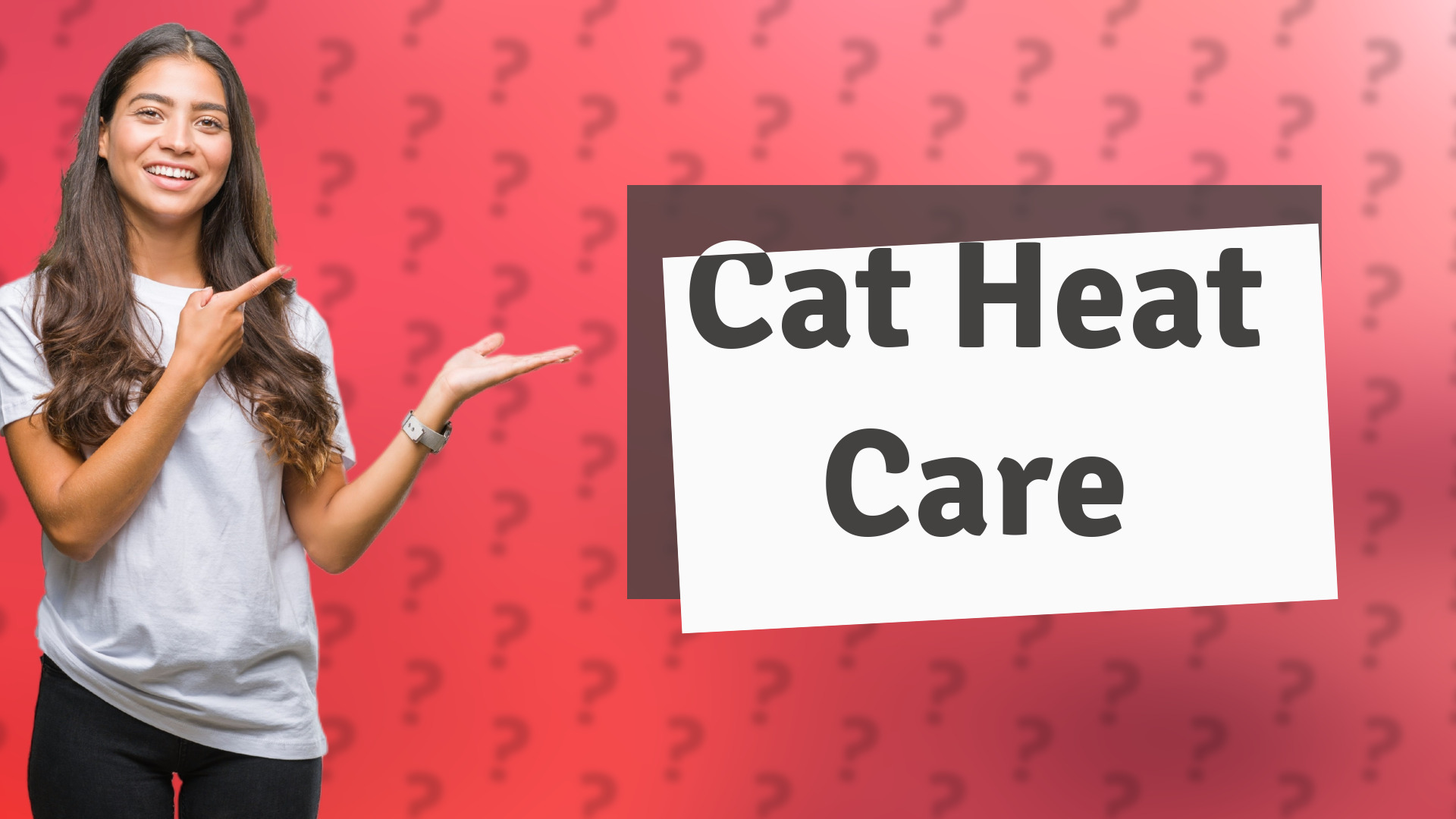 Cat Heat Care
