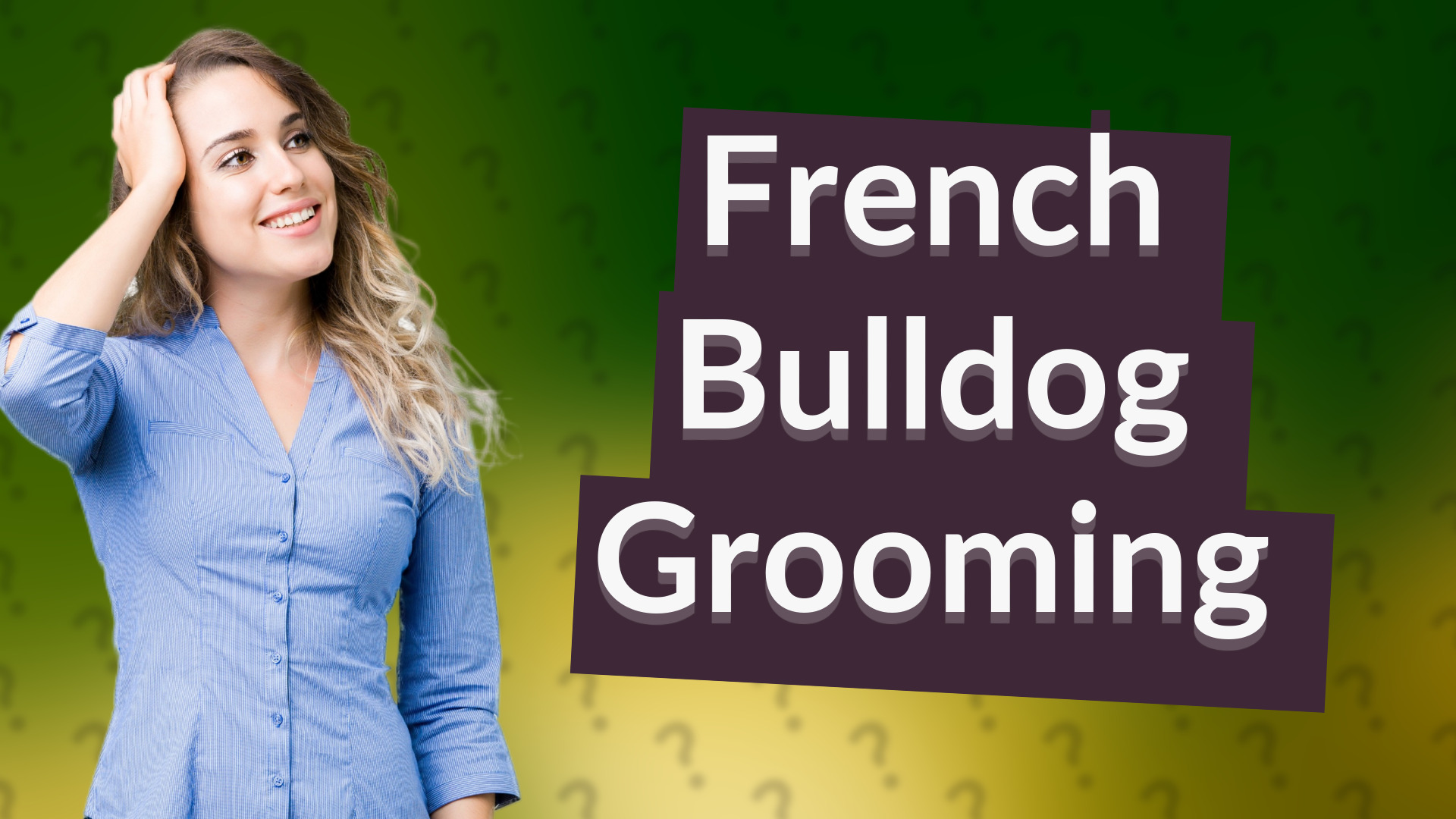 French Bulldog Grooming