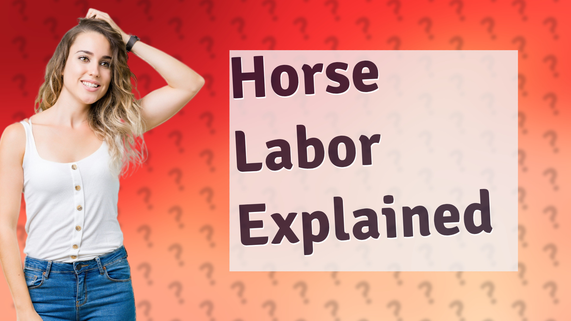 Horse Labor Explained