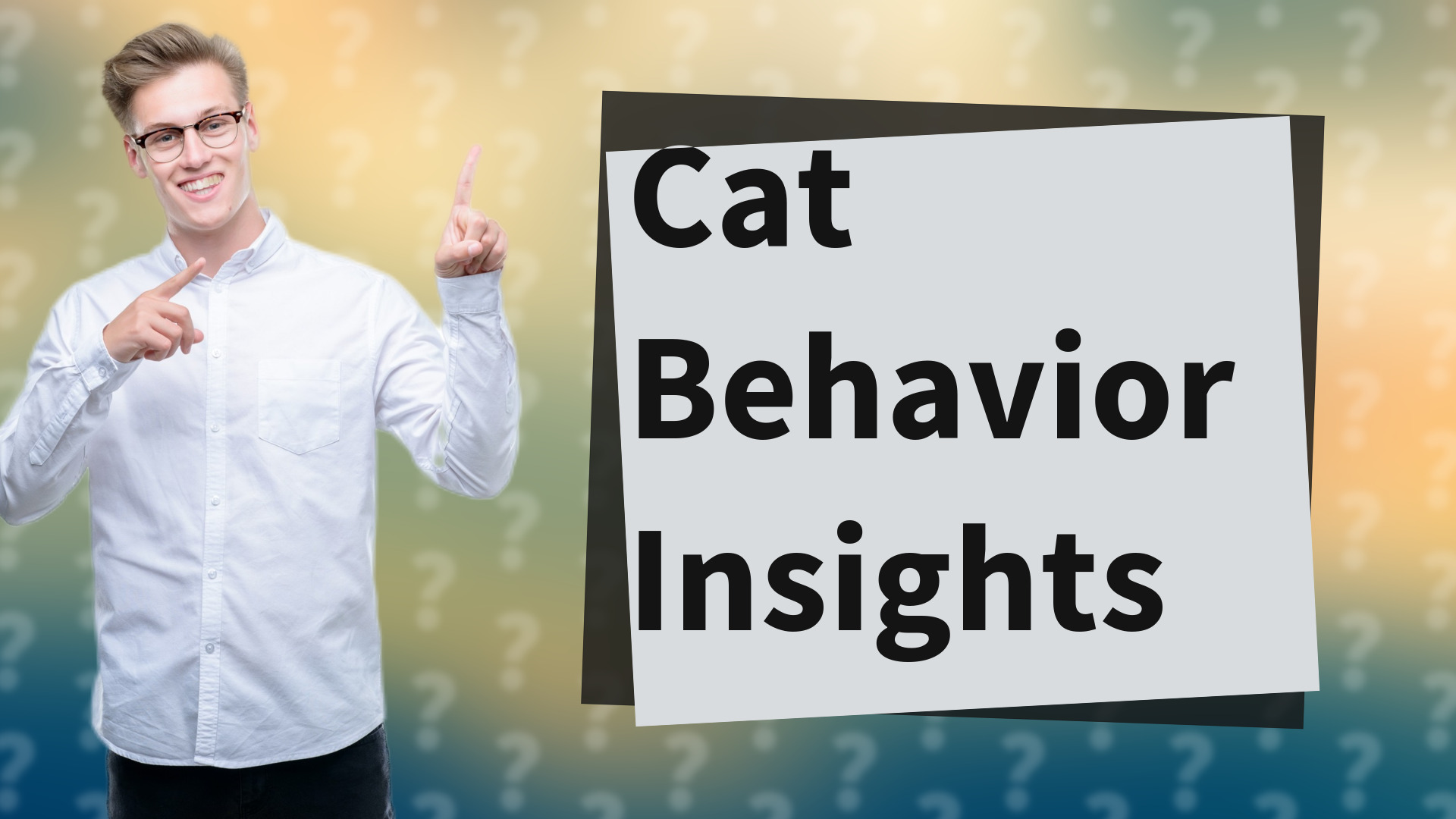 Cat Behavior Insights