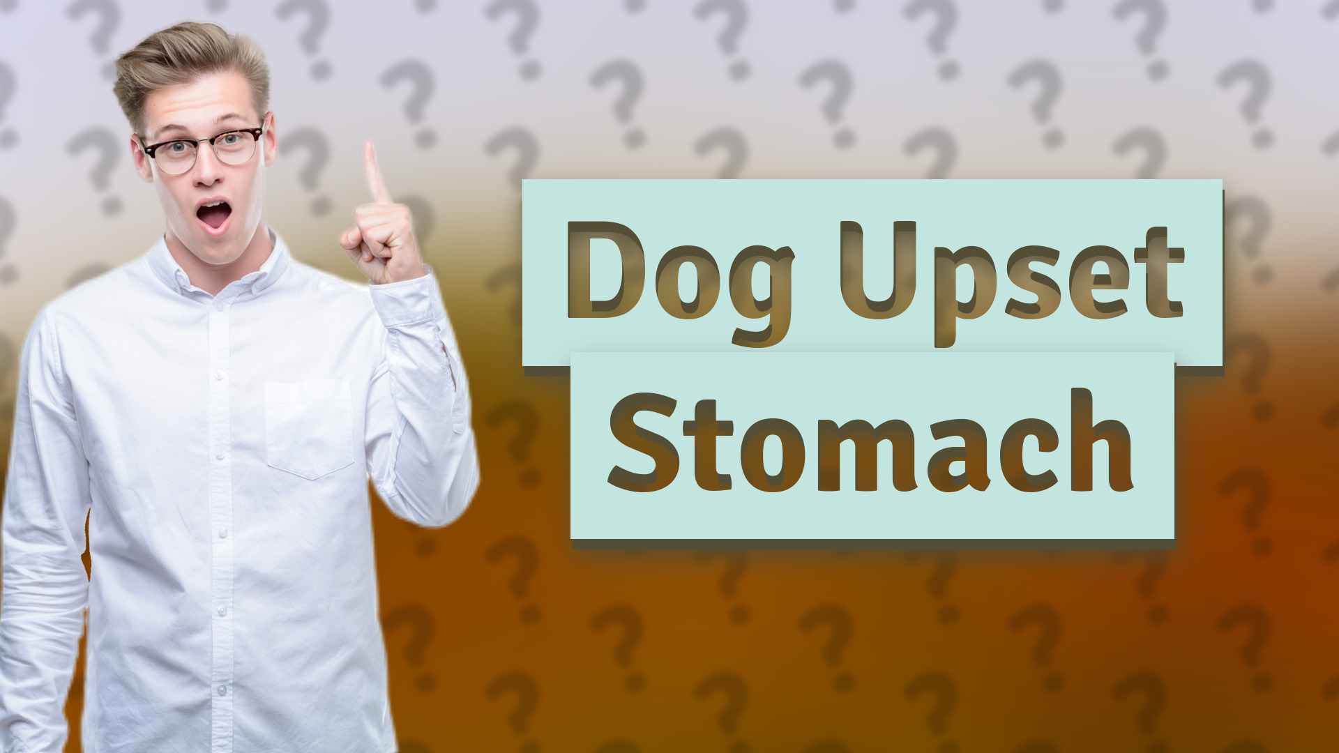 Dog Upset Stomach