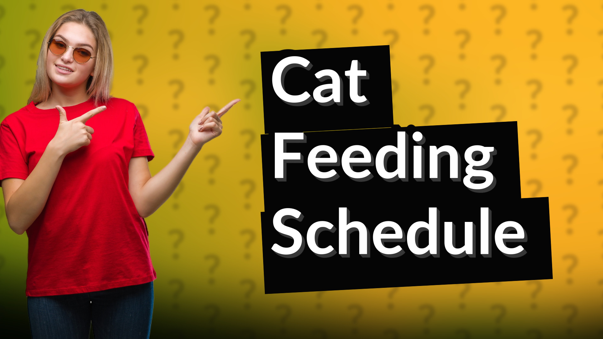 Cat Feeding Schedule