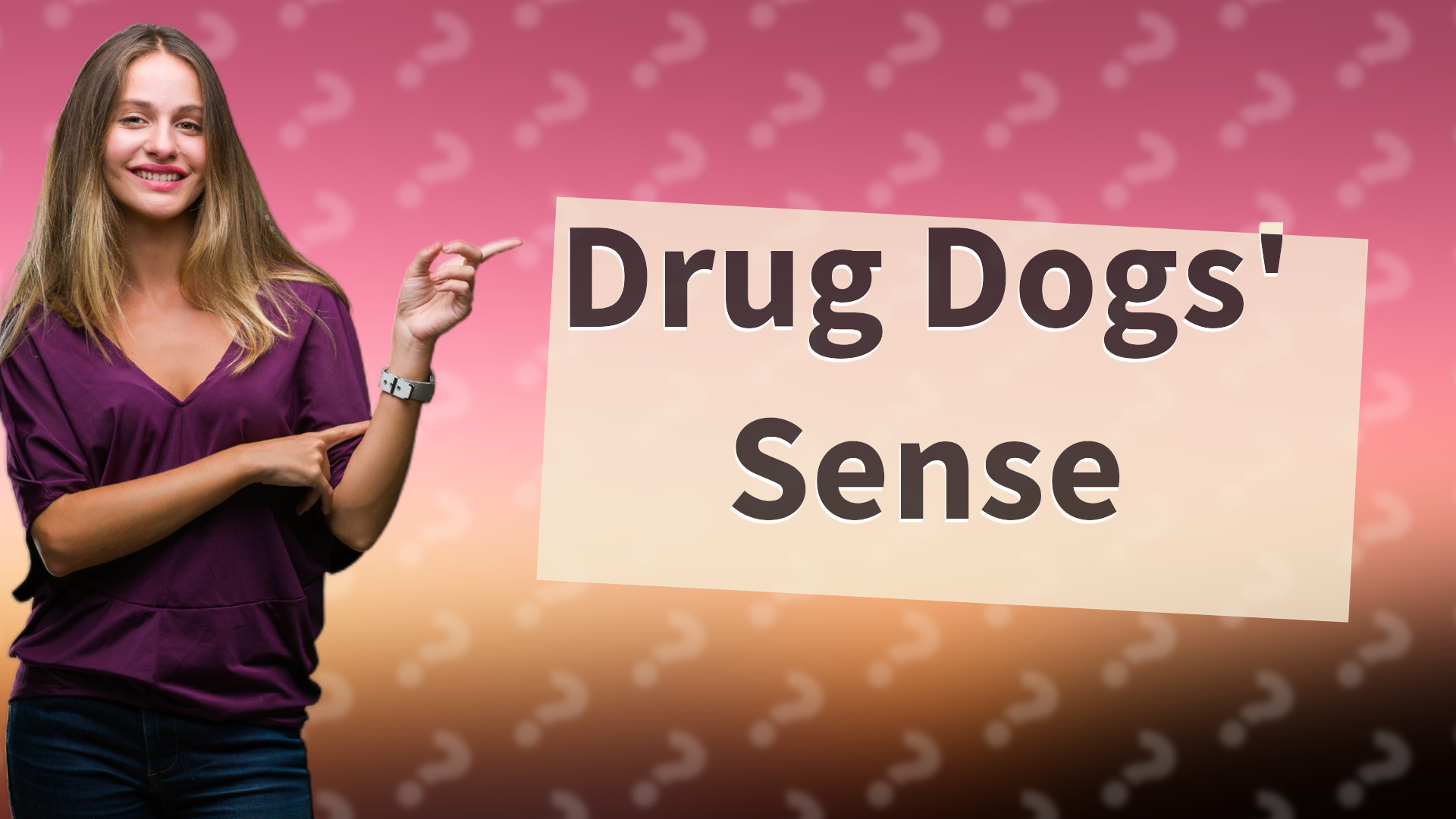 Drug Dogs' Sense