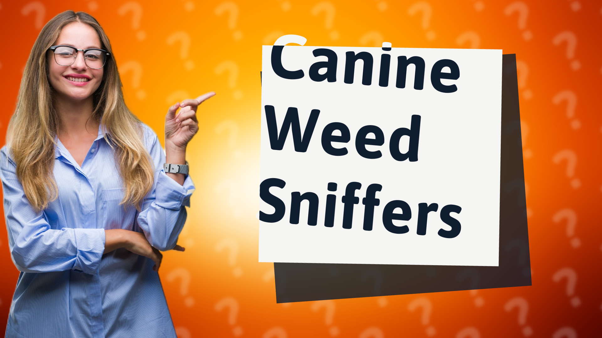 Canine Weed Sniffers