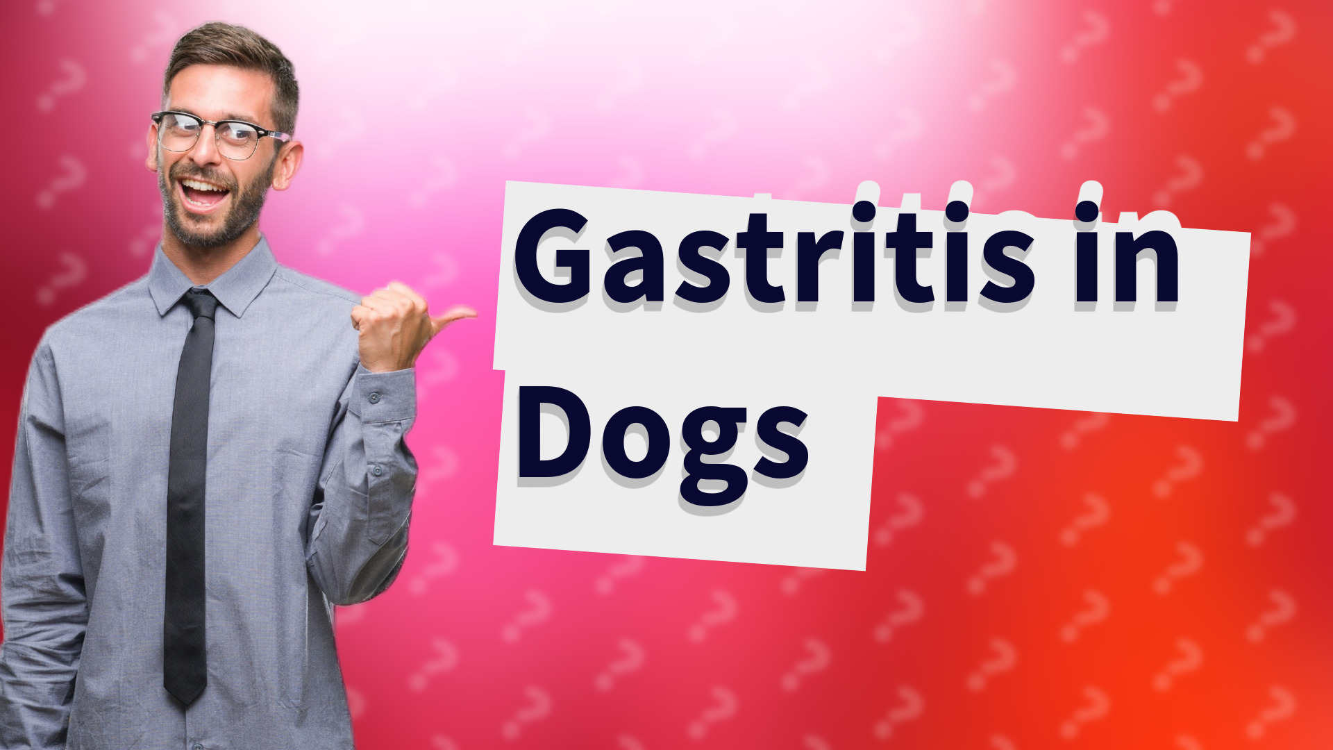 Gastritis in Dogs
