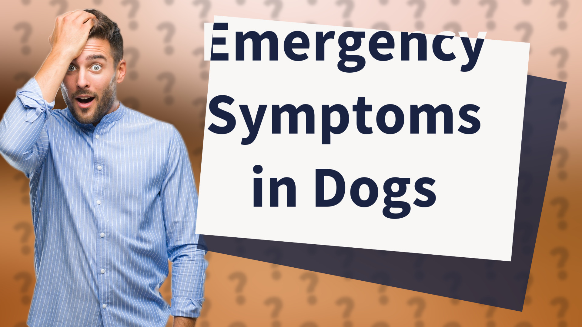 Emergency Symptoms in Dogs