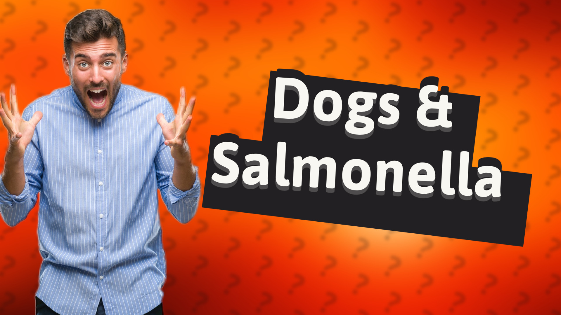 Dogs & Salmonella
