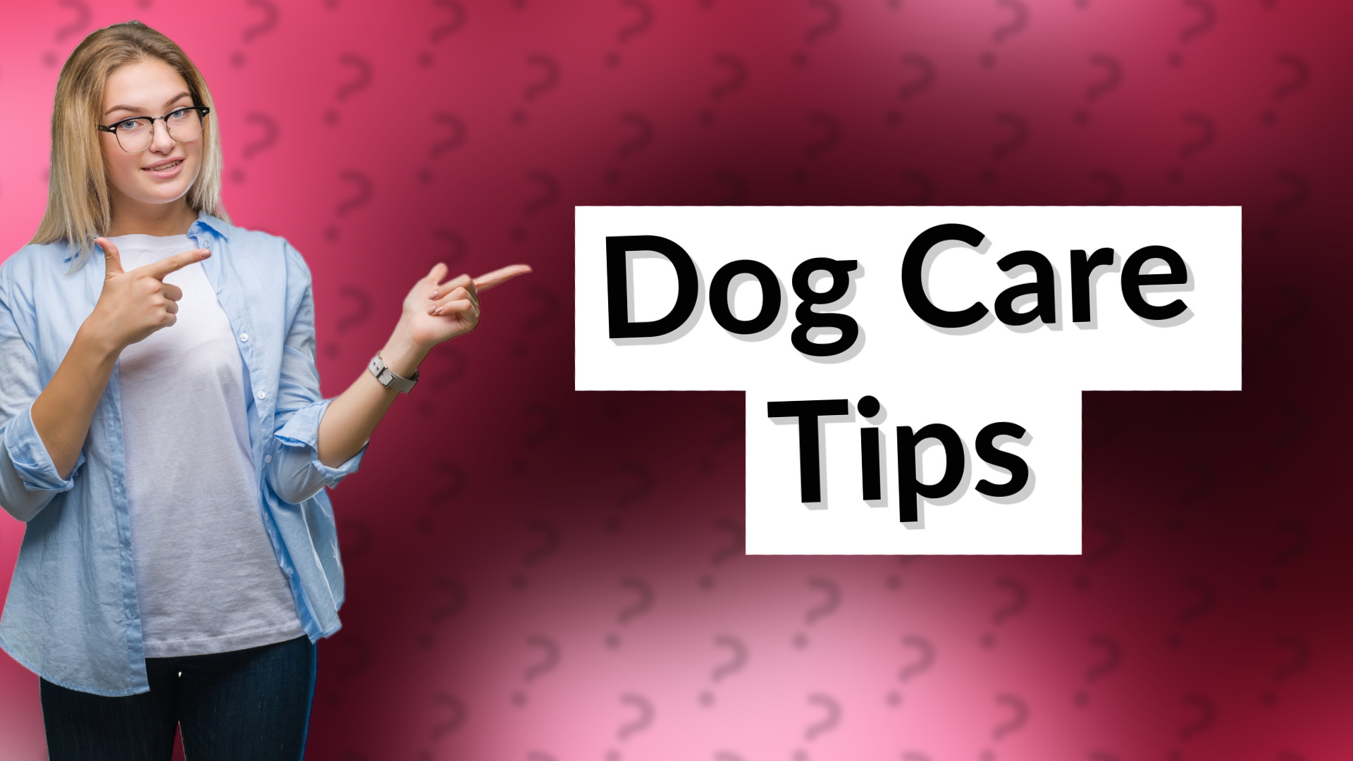 Dog Care Tips