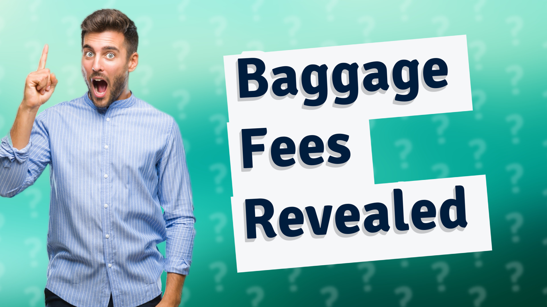 Baggage Fees Revealed
