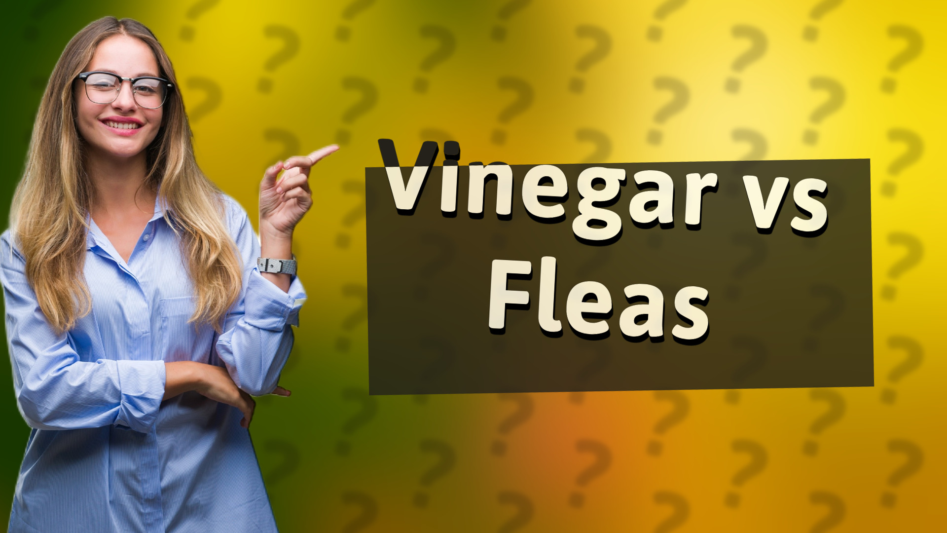Vinegar vs Fleas