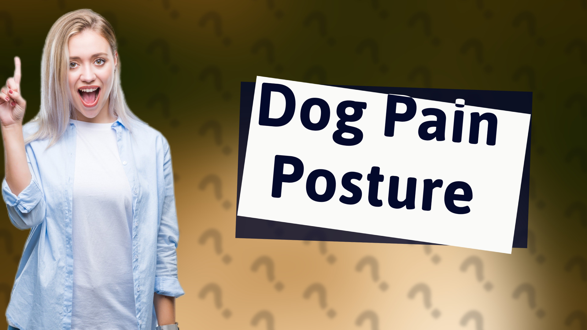 Dog Pain Posture