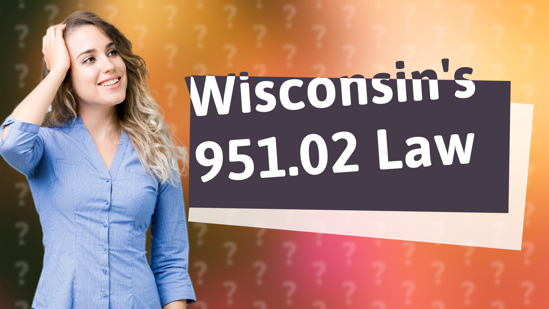 Wisconsin's 951.02 Law