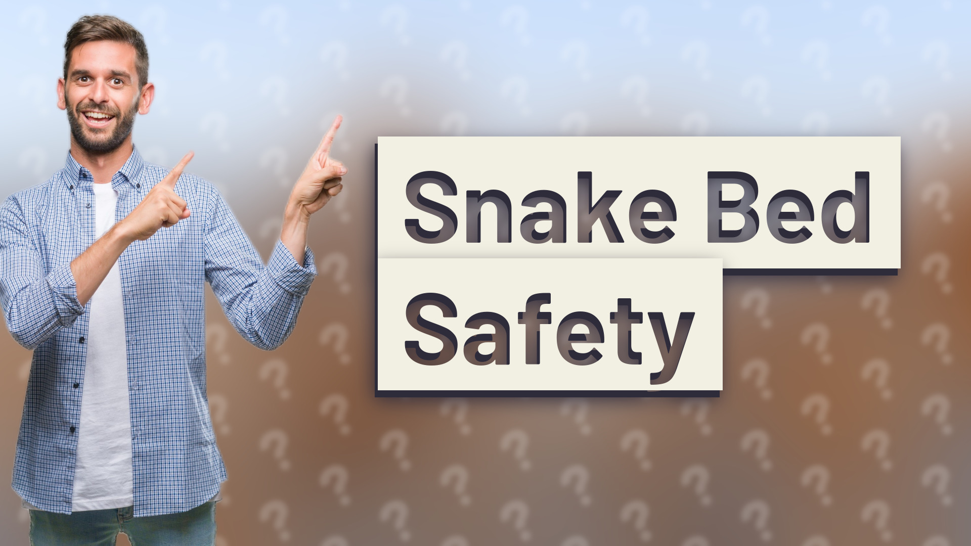 Snake Bed Safety