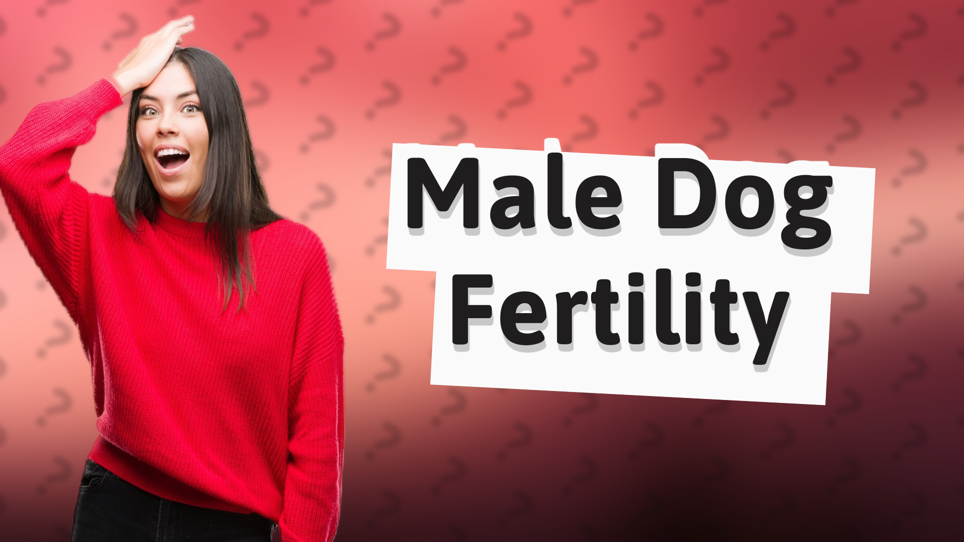 Male Dog Fertility
