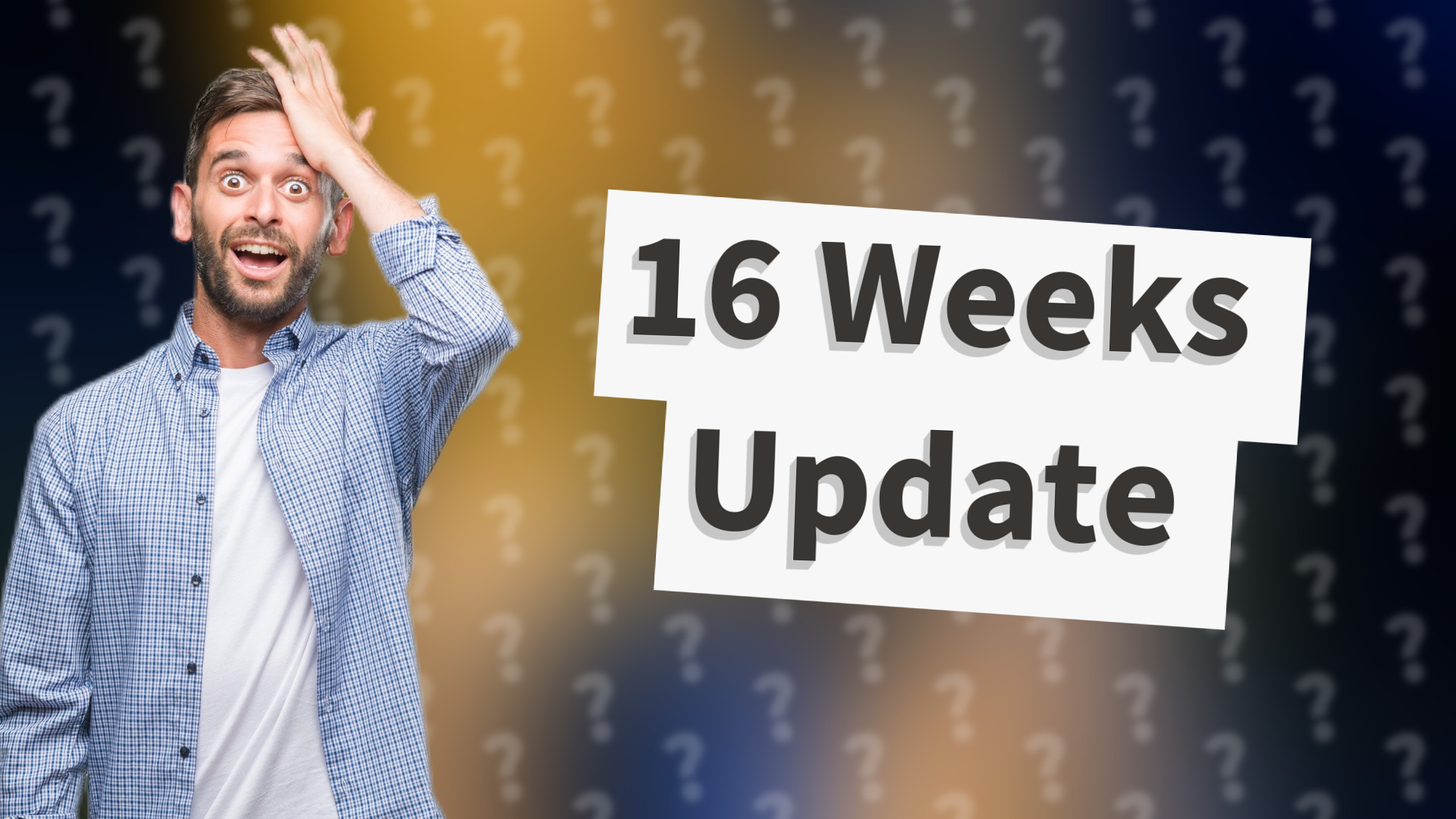 16 Weeks Update