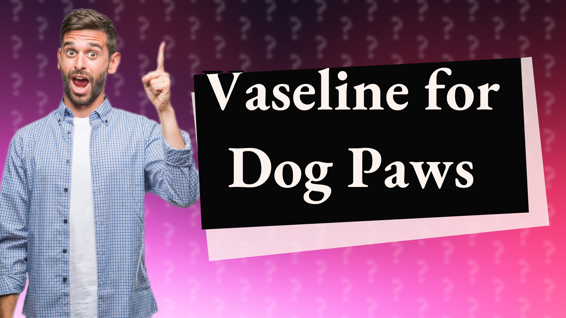 Vaseline for Dog Paws