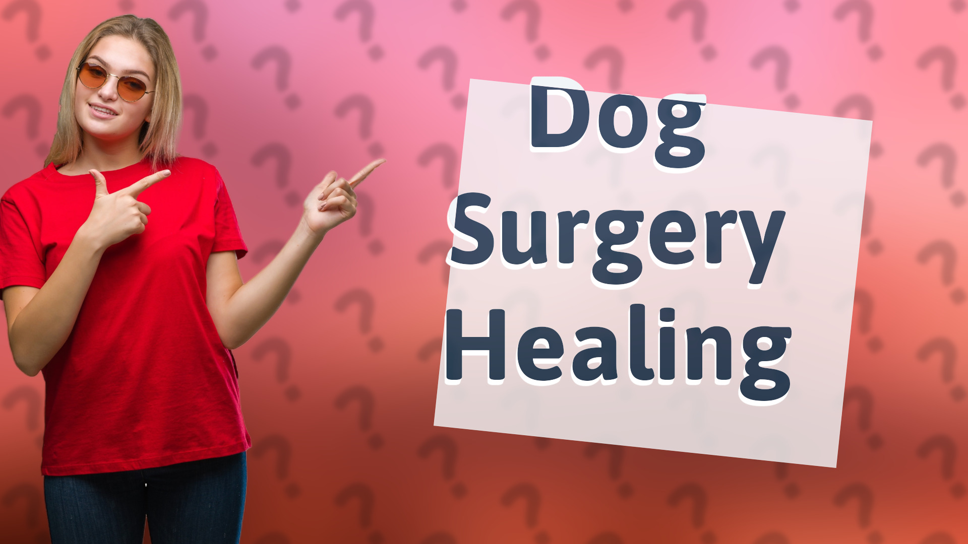 Dog Surgery Healing