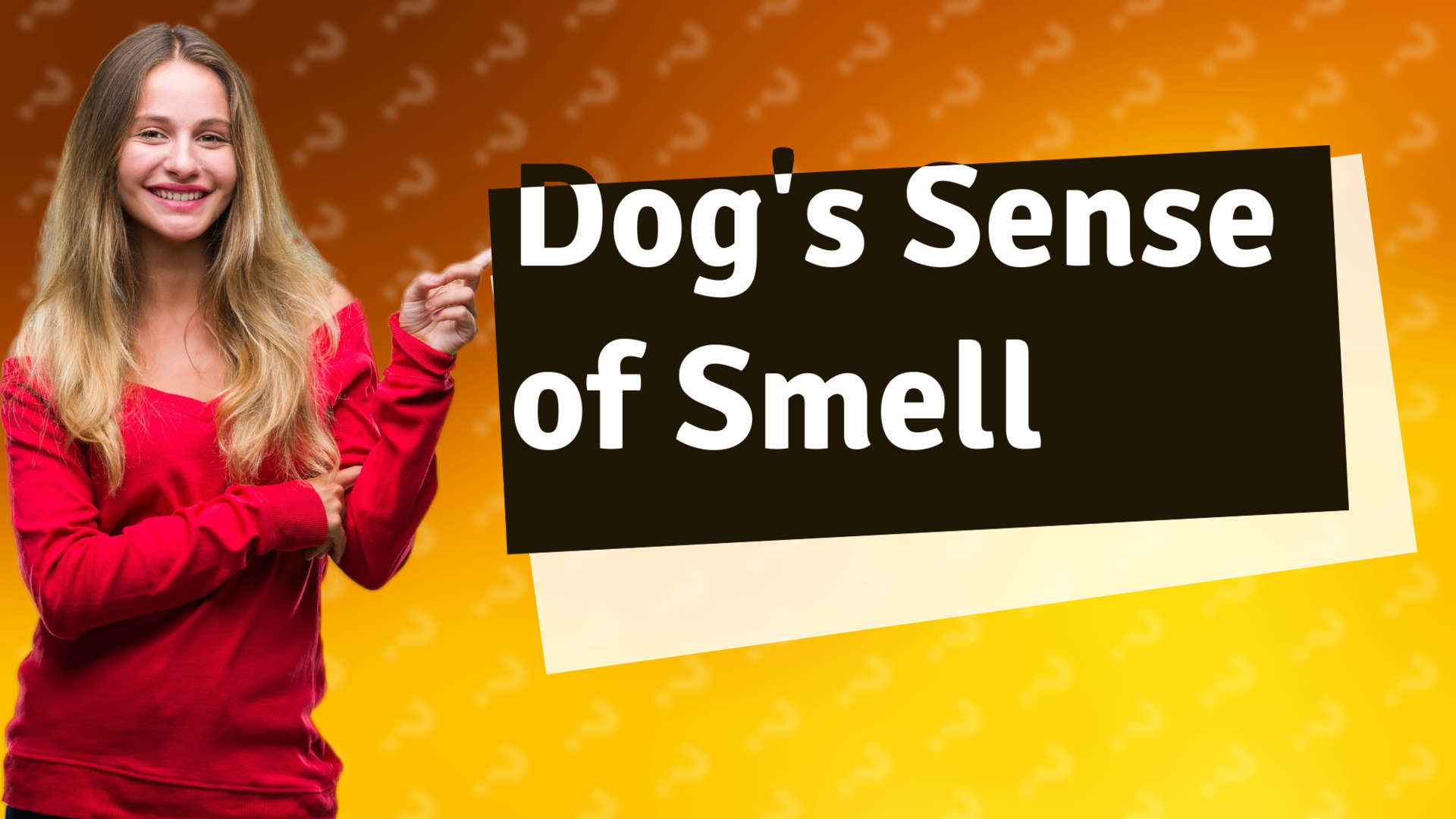 Dog's Sense of Smell