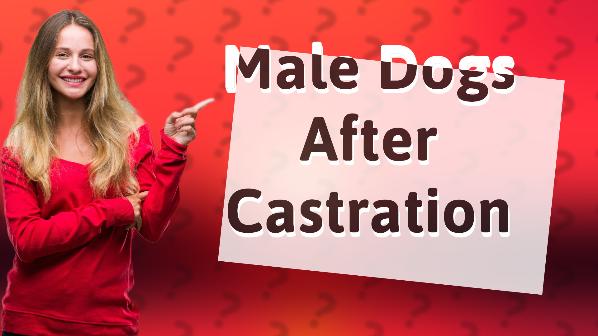 Male Dogs After Castration