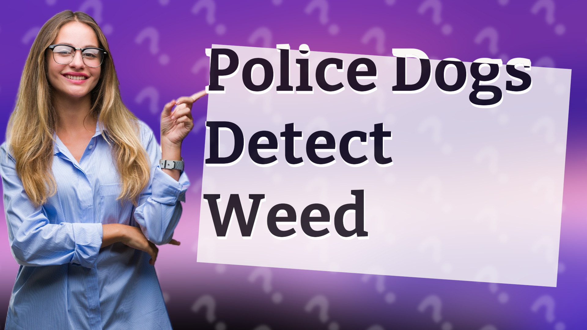 Police Dogs Detect Weed