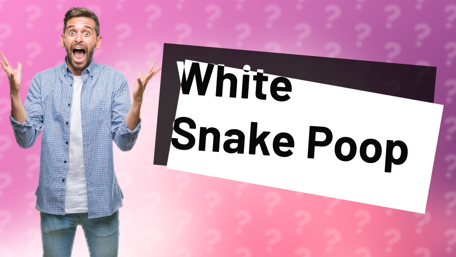 White Snake Poop
