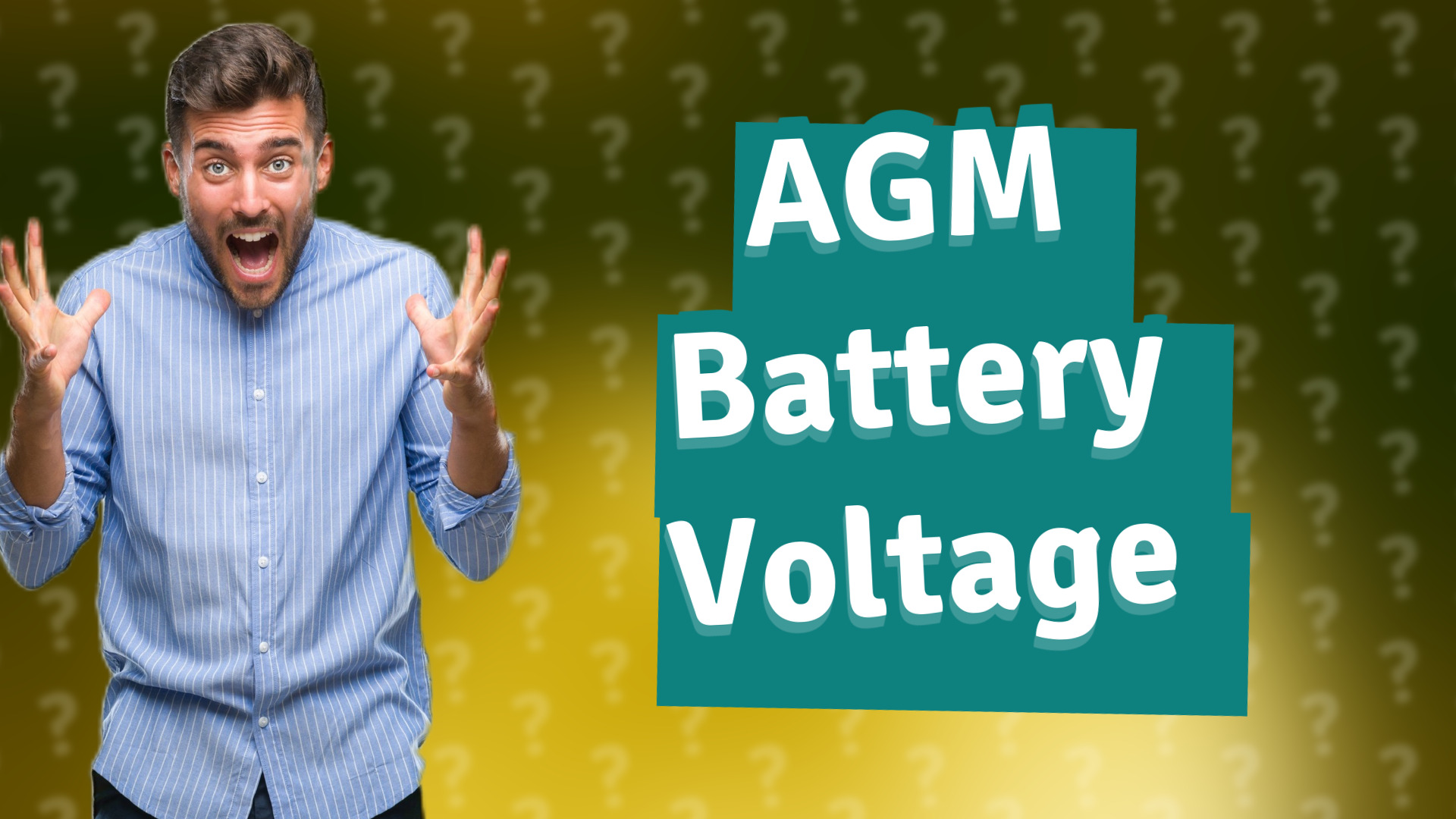 AGM Battery Voltage
