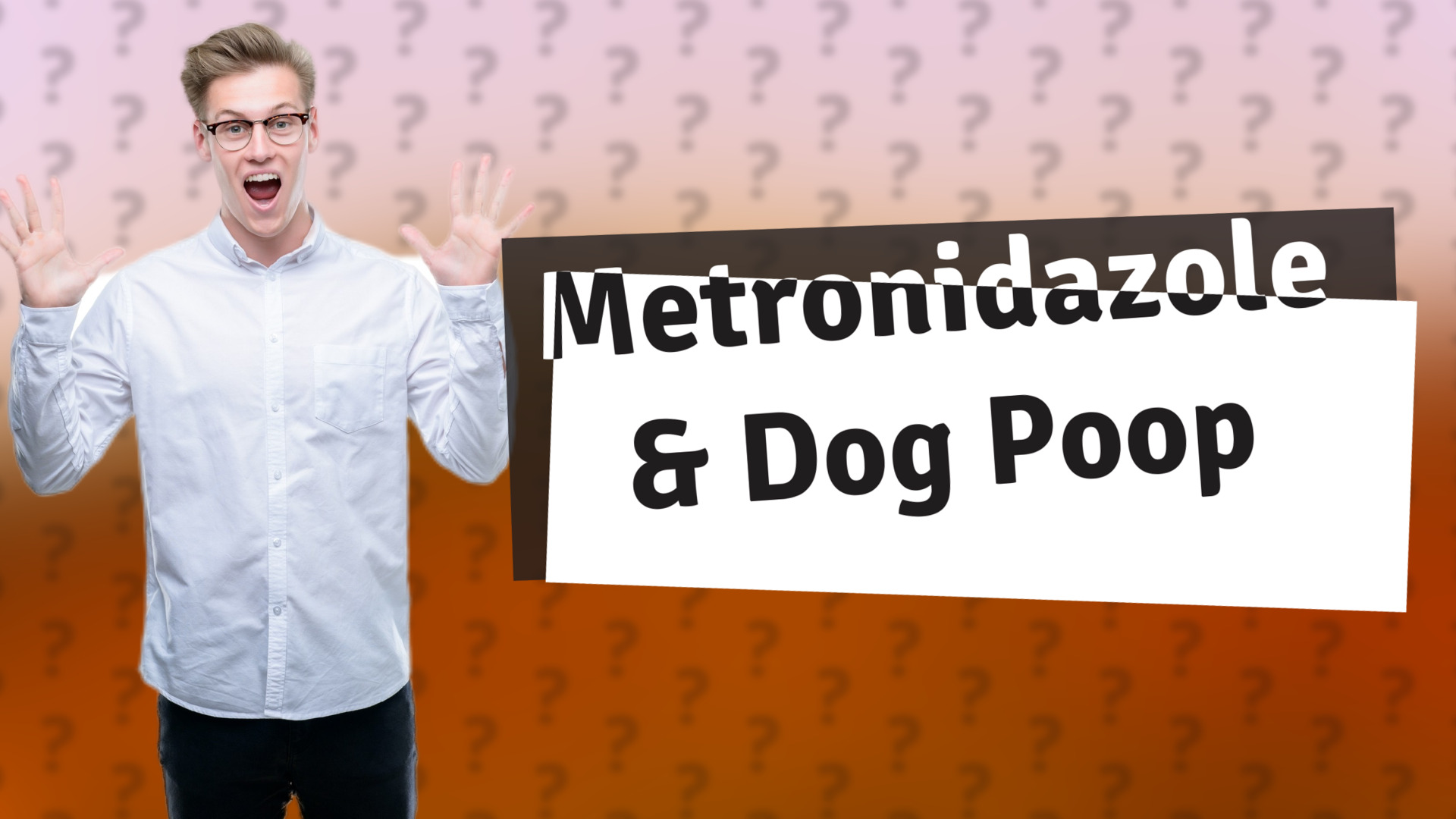 Metronidazole & Dog Poop